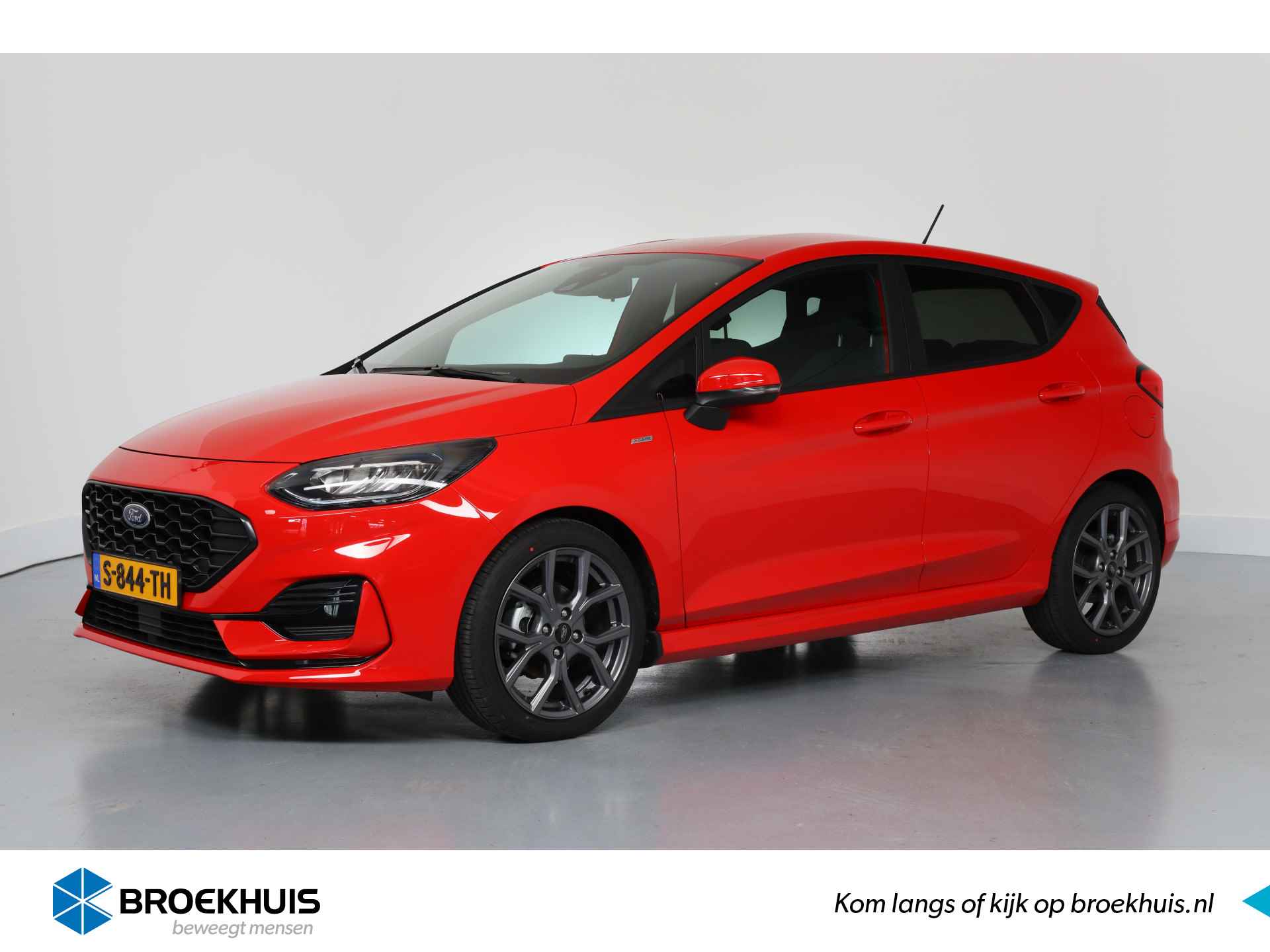 Ford Fiesta BOVAG 40-Puntencheck