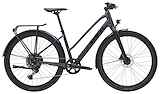 TREK Dual Sport 3 Equipped Stagger Gen 5 L Dames GALACTIC GREY L 55cm L 2024