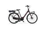 CORTINA E-Common Family Nutmeg Matt 57cm 2023