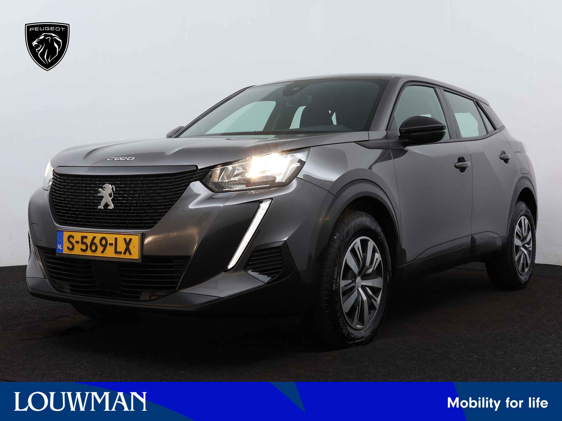 Peugeot 2008 BOVAG 40-Puntencheck