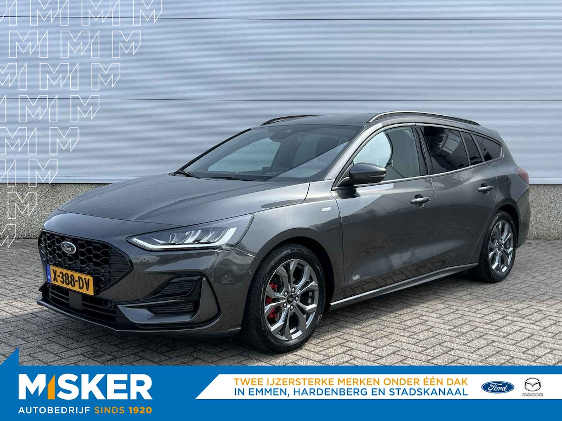 Ford Focus BOVAG 40-Puntencheck