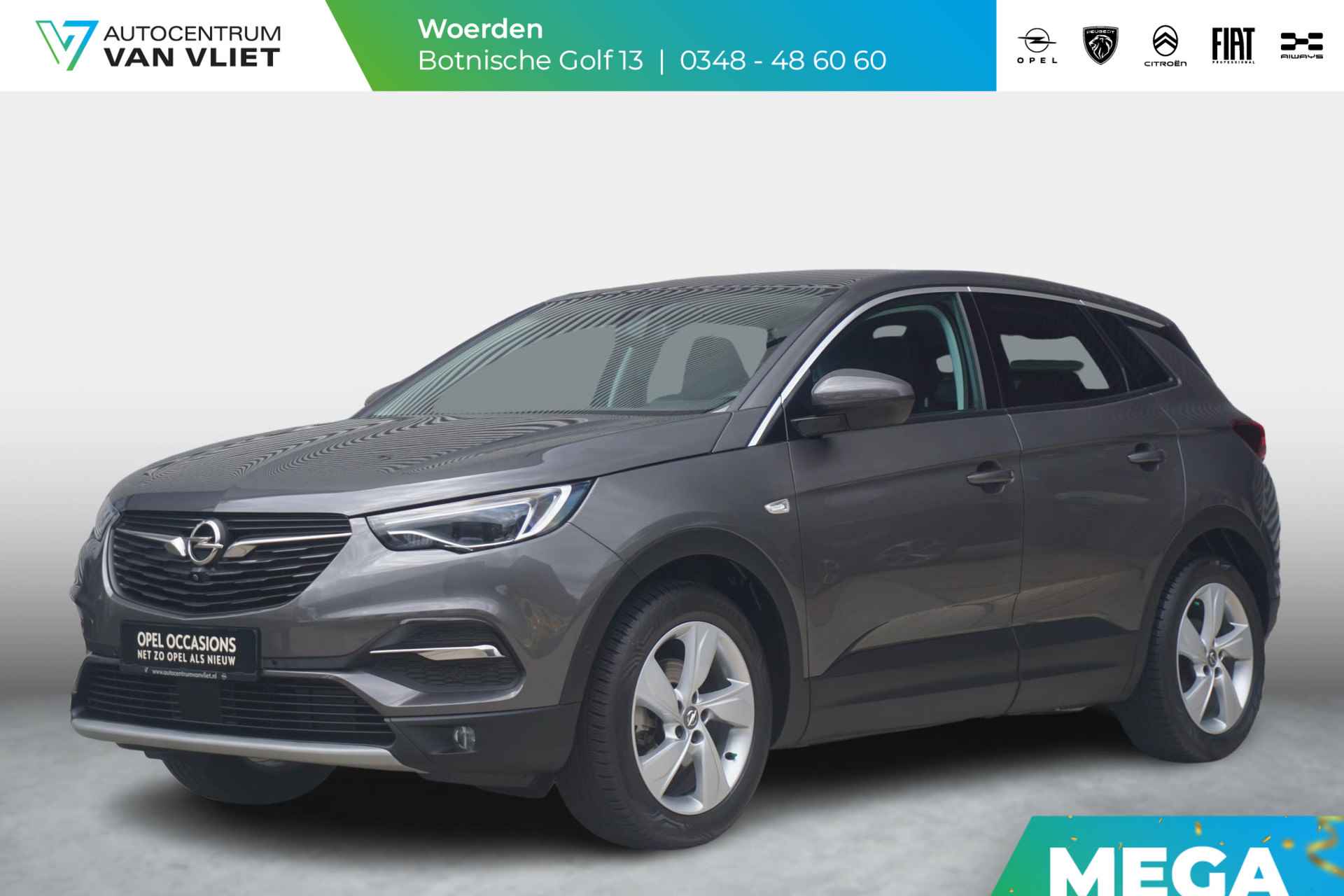 Opel Grandland X BOVAG 40-Puntencheck