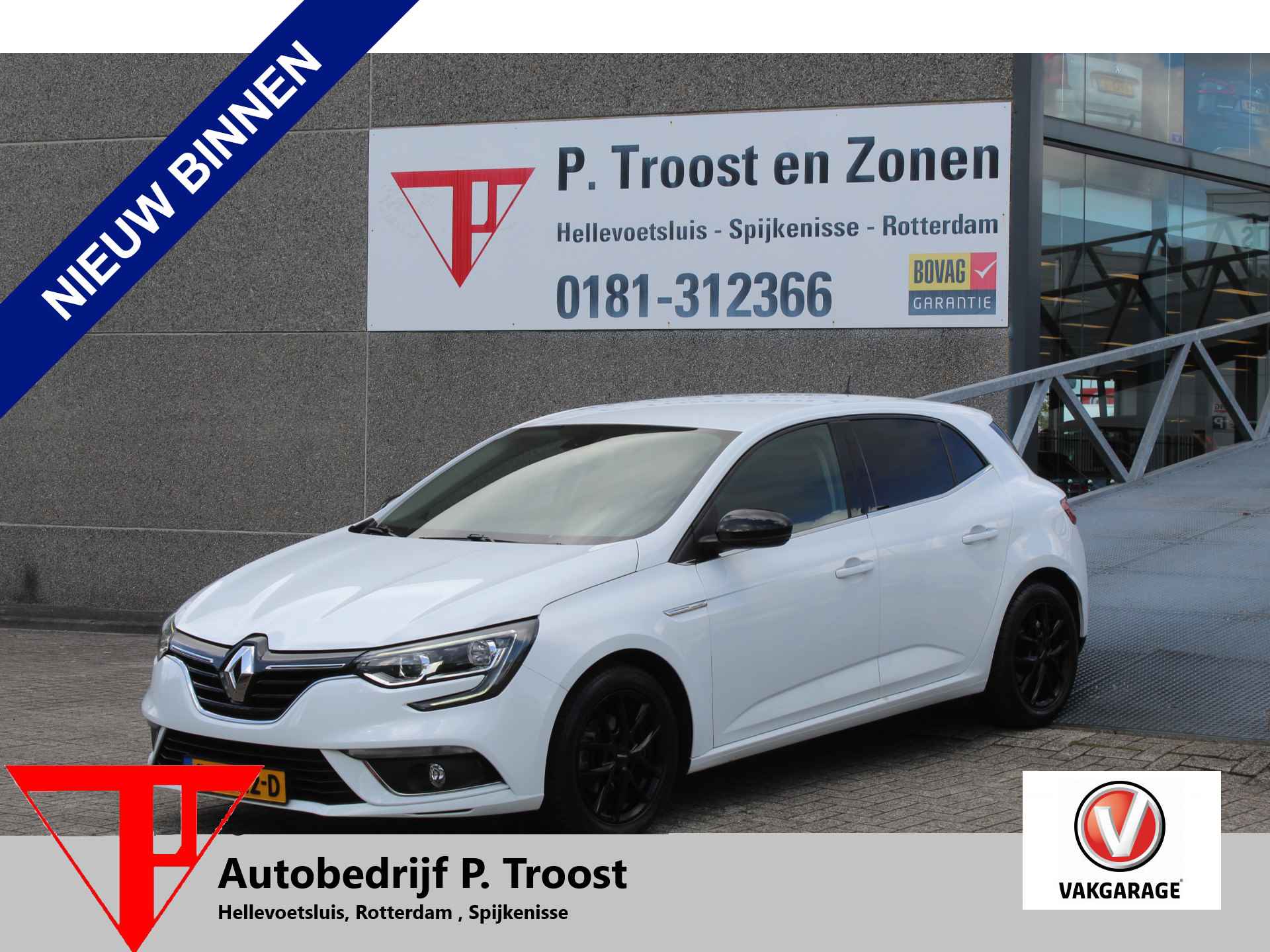 Renault Megane BOVAG 40-Puntencheck