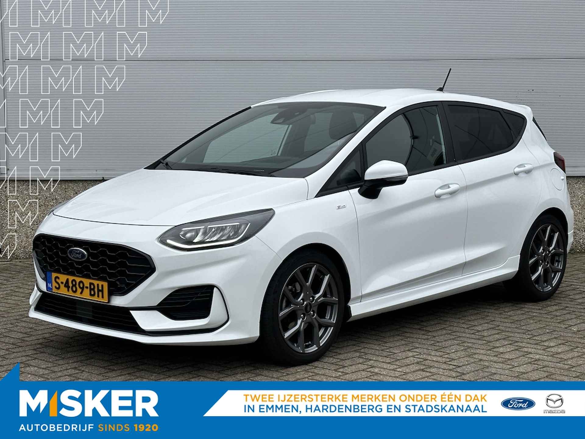 Ford Fiesta BOVAG 40-Puntencheck