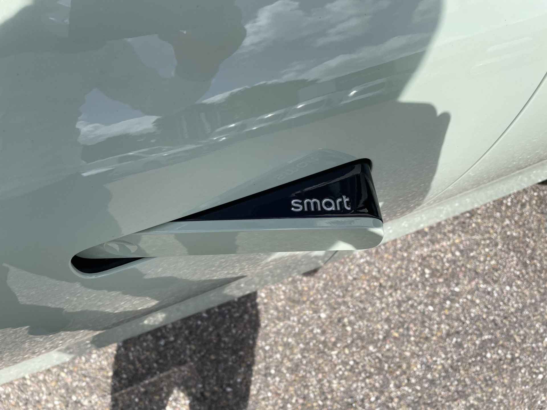 smart #1 Pro+ 66 kWh Panoramadak | Adaptieve cruise control | Elektrische stoelen - 6/15