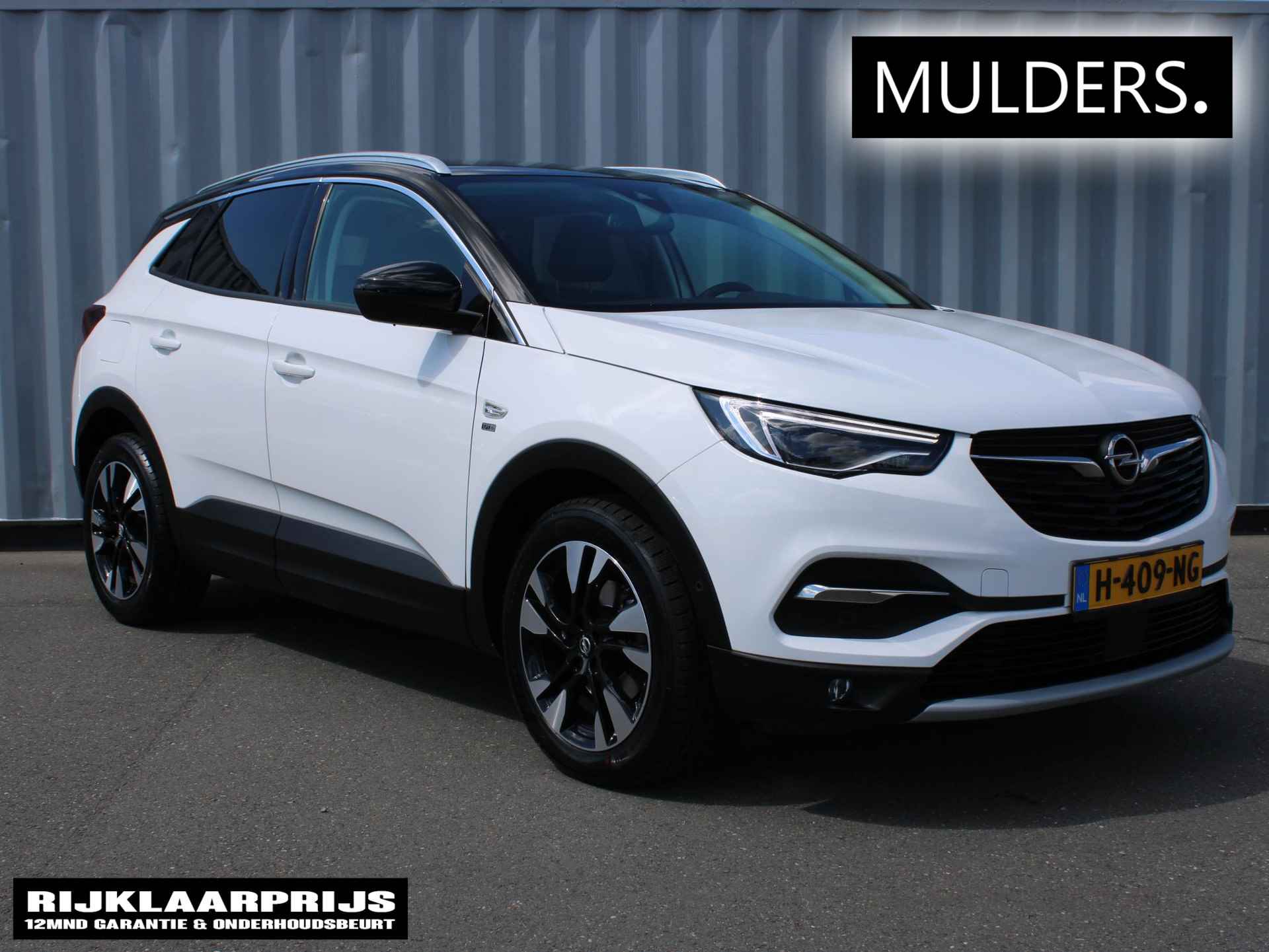 Opel Grandland X BOVAG 40-Puntencheck