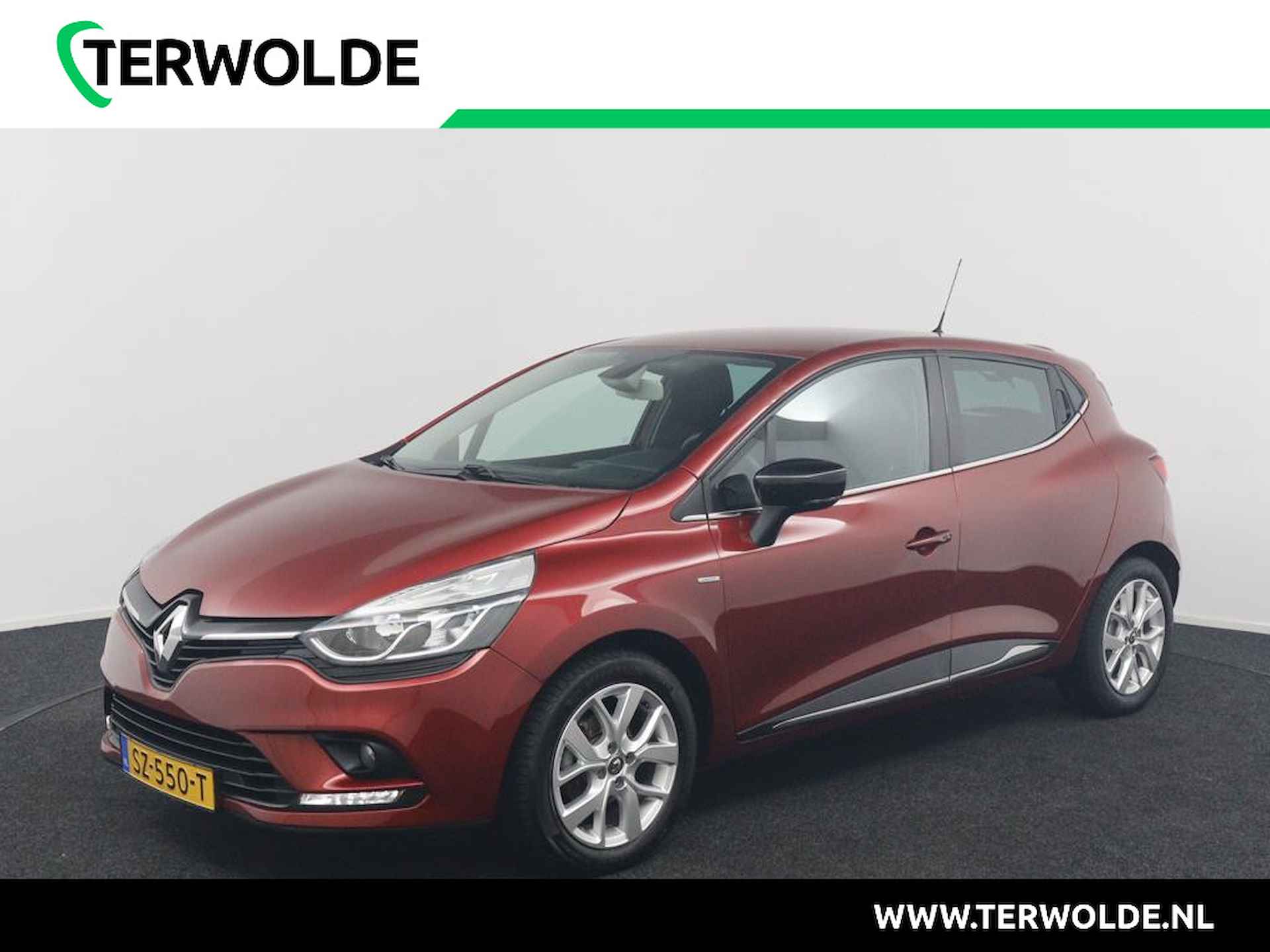 Renault Clio BOVAG 40-Puntencheck