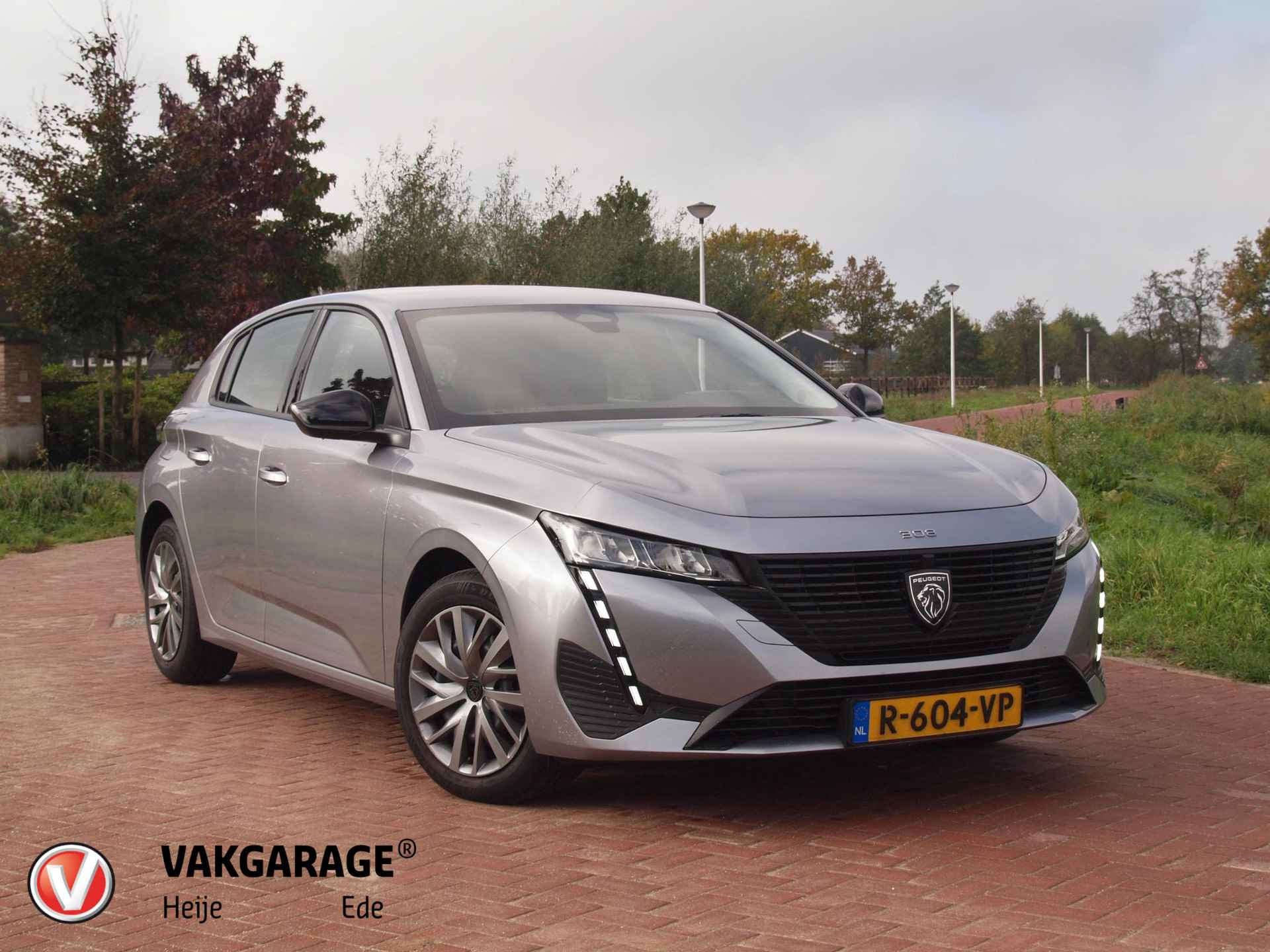 Peugeot 308 BOVAG 40-Puntencheck