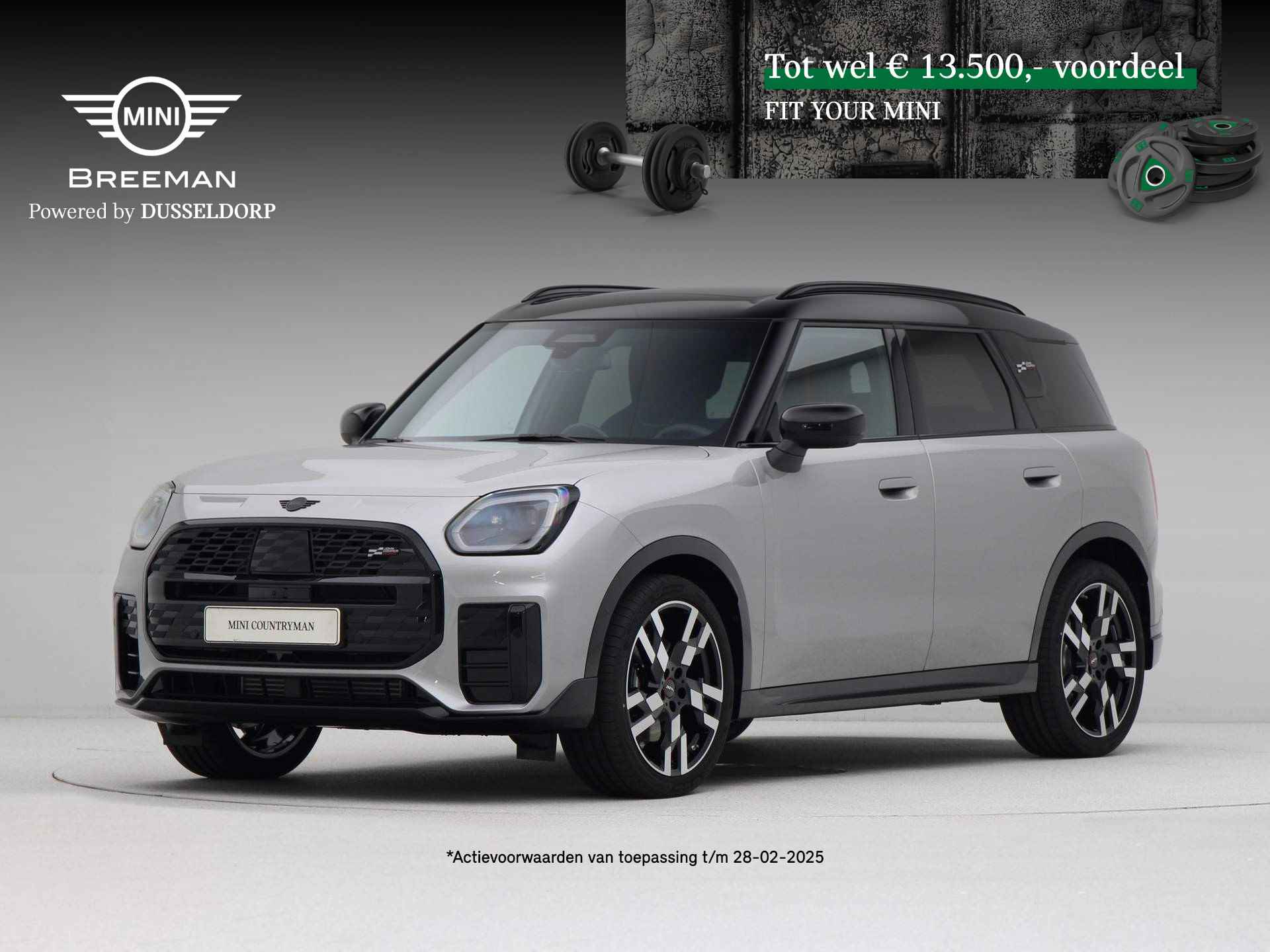 Mini Countryman