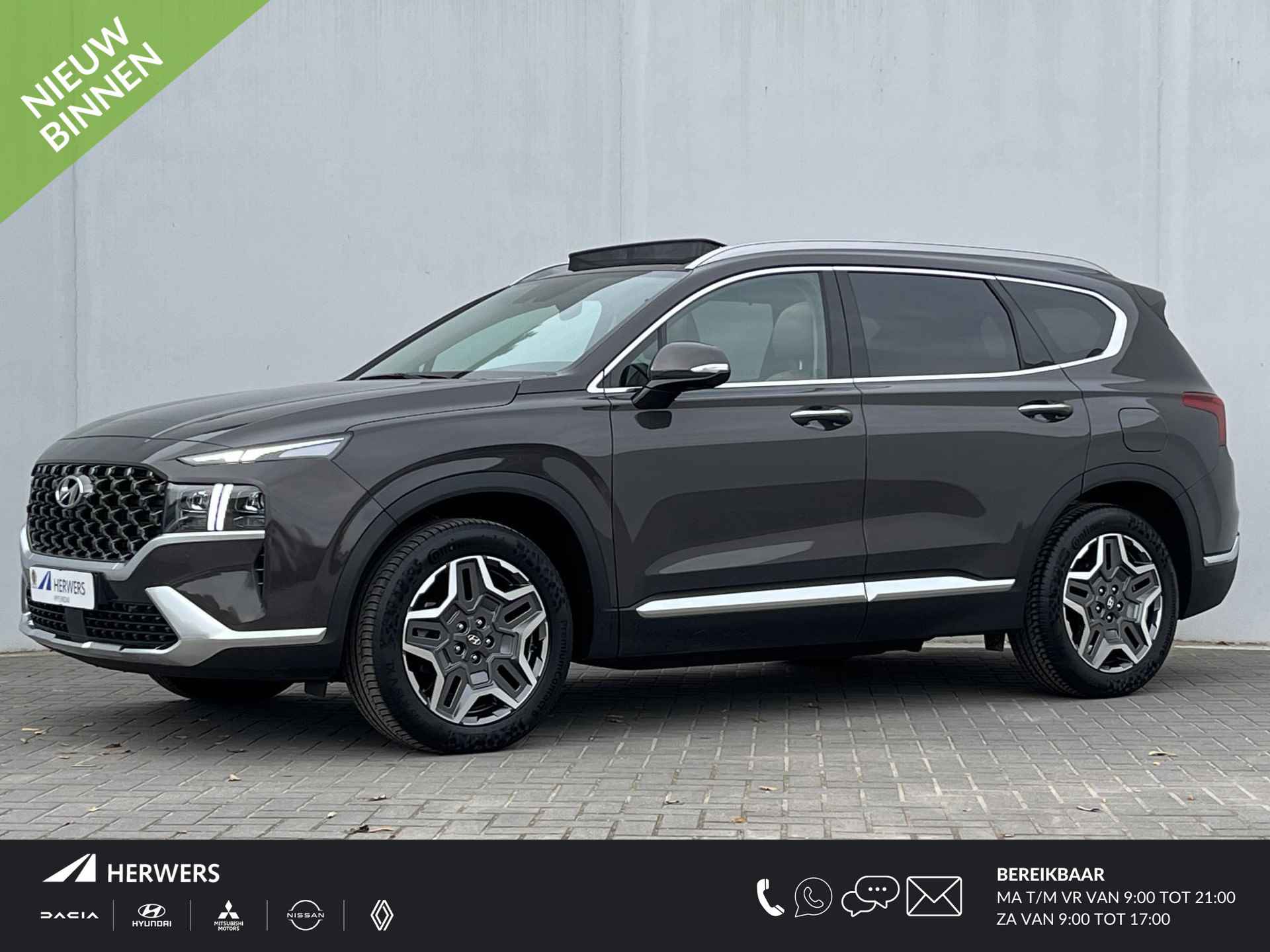 Hyundai Santa Fe BOVAG 40-Puntencheck