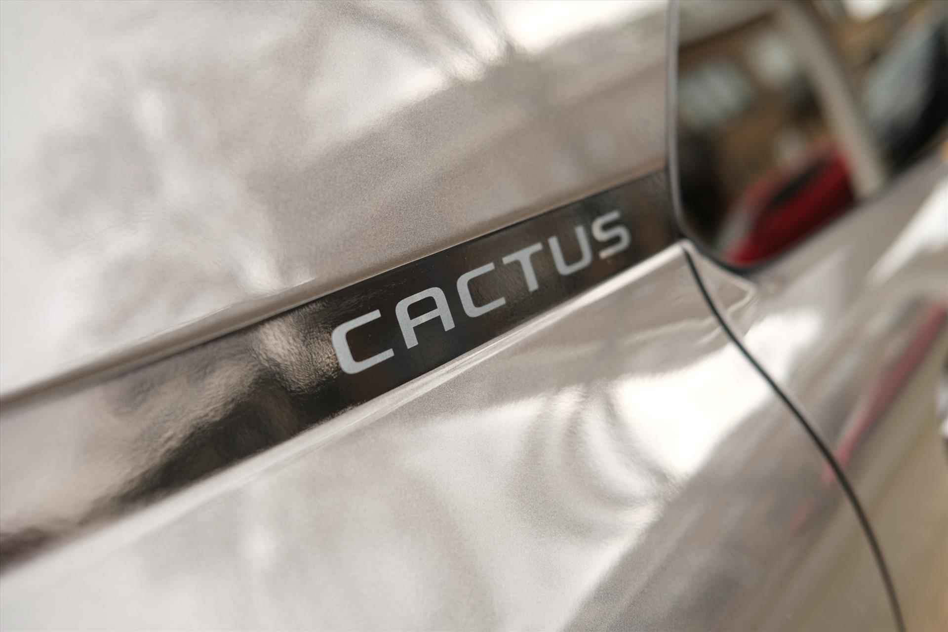 CITROEN C4 Cactus PT 110 Automaat-6 'Origins' 17" | Navi etc - 18/41