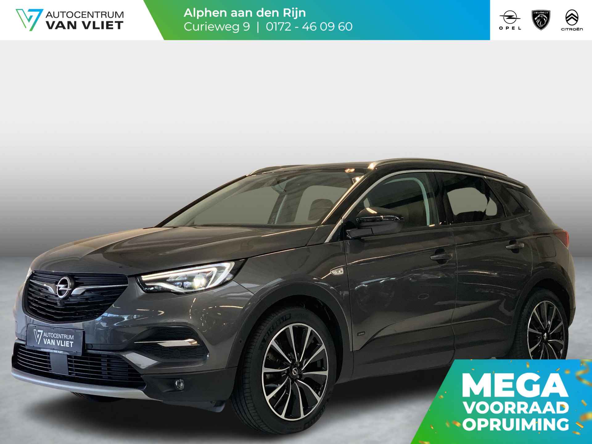 Opel Grandland X BOVAG 40-Puntencheck