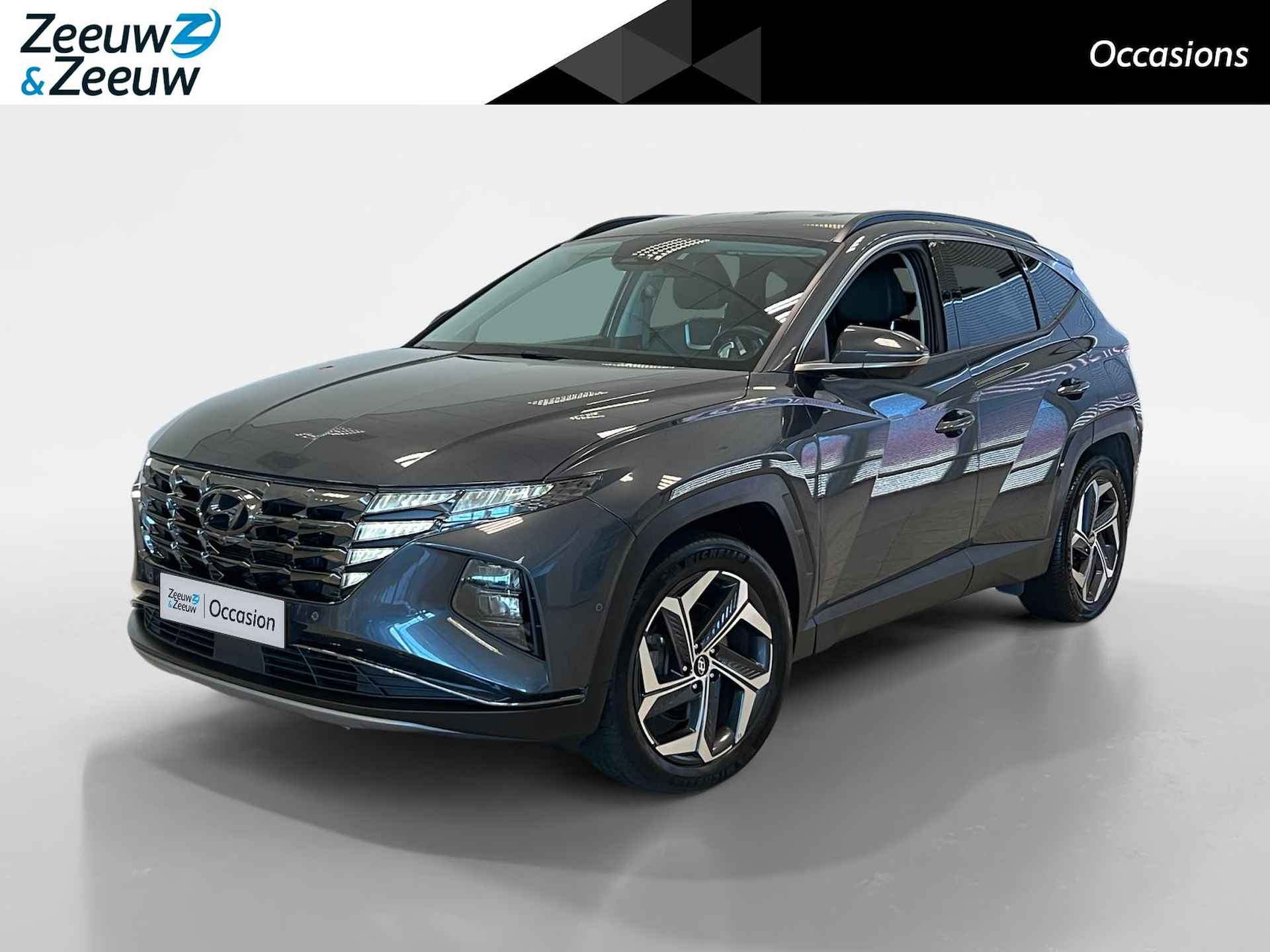 Hyundai Tucson BOVAG 40-Puntencheck