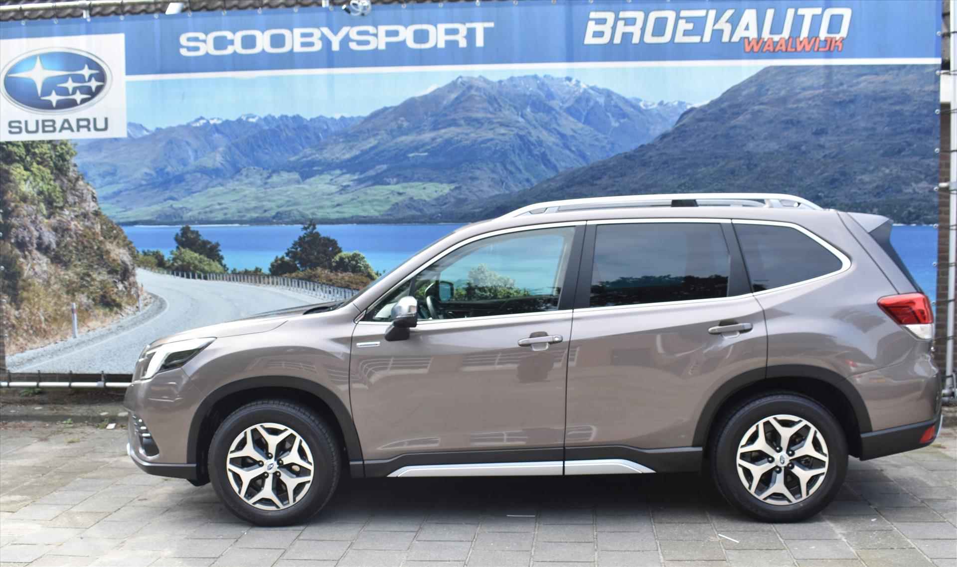 Subaru Forester BOVAG 40-Puntencheck