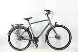 Batavus Dinsdag Exclusive Plus H53 A11 Stadsfietsen multigrey