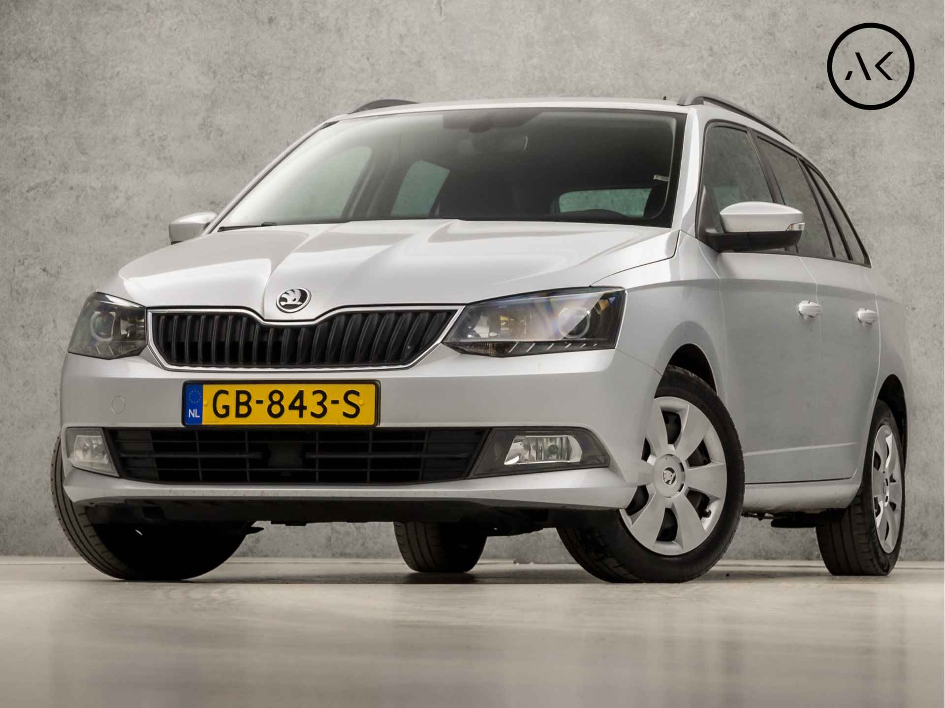 Škoda Fabia BOVAG 40-Puntencheck