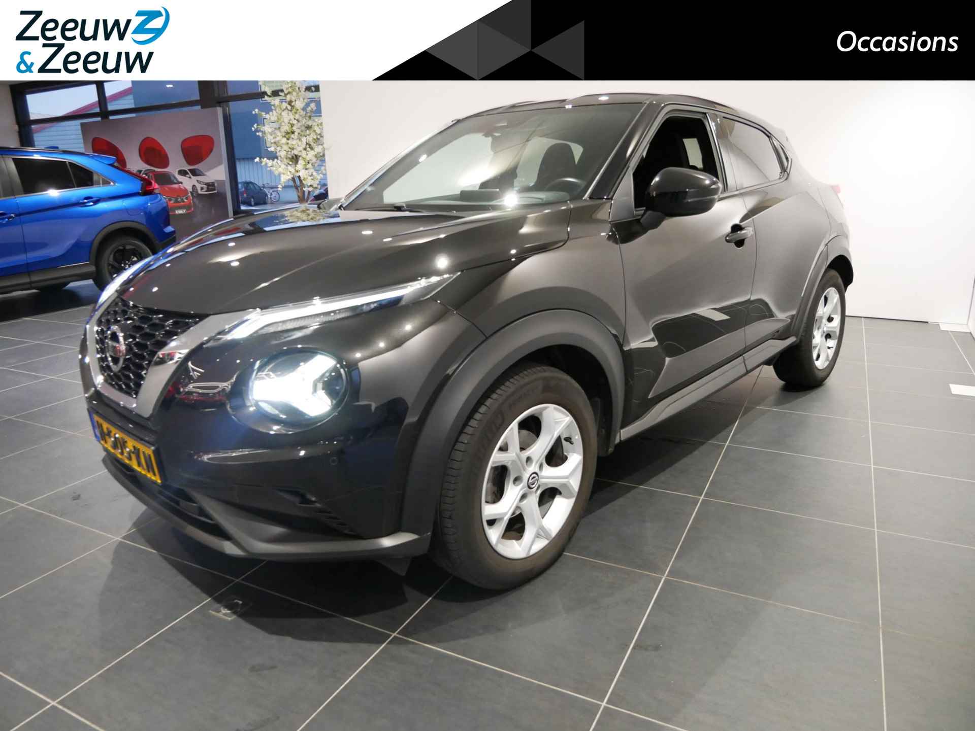 Nissan Juke BOVAG 40-Puntencheck