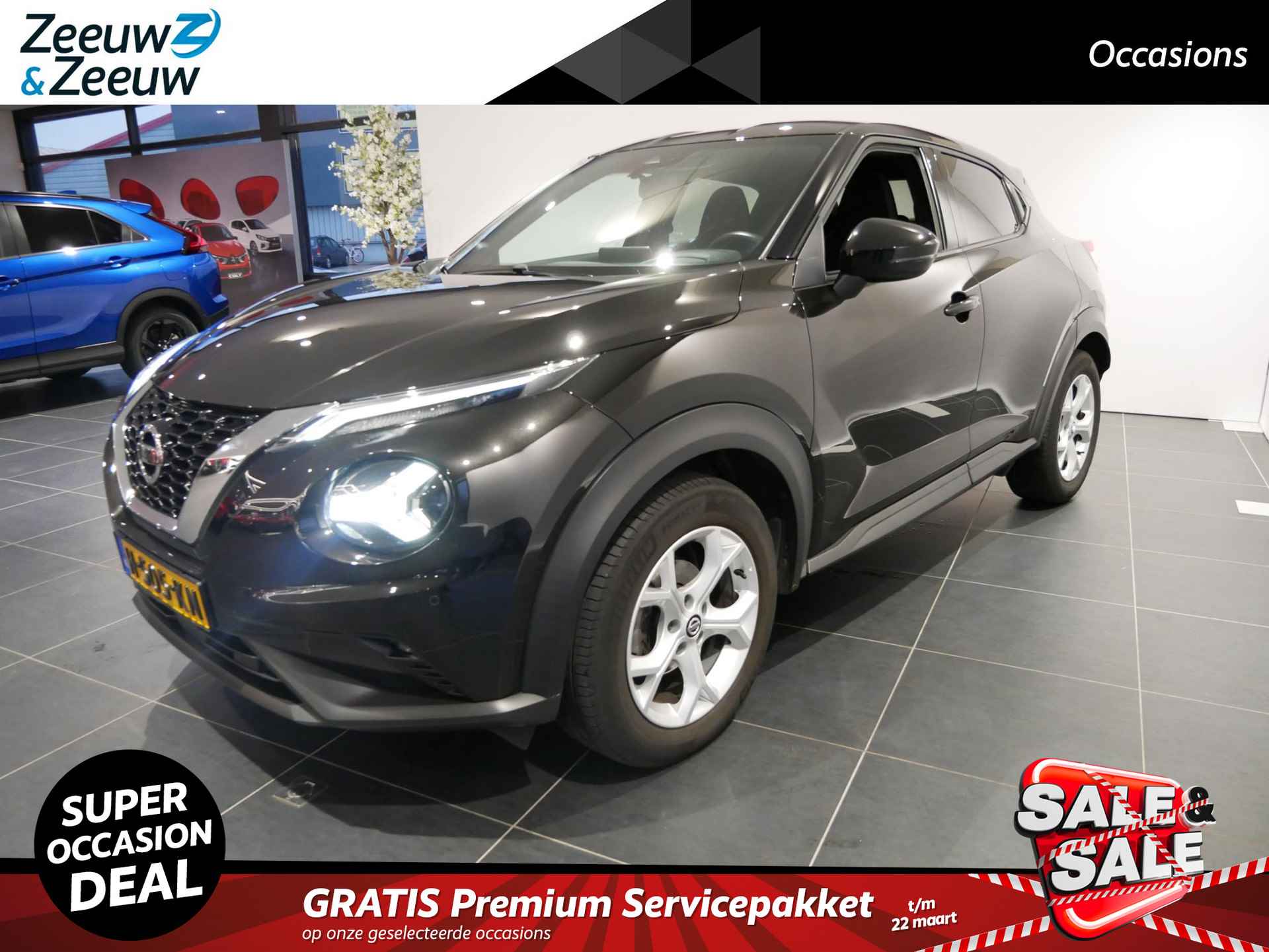 Nissan Juke BOVAG 40-Puntencheck