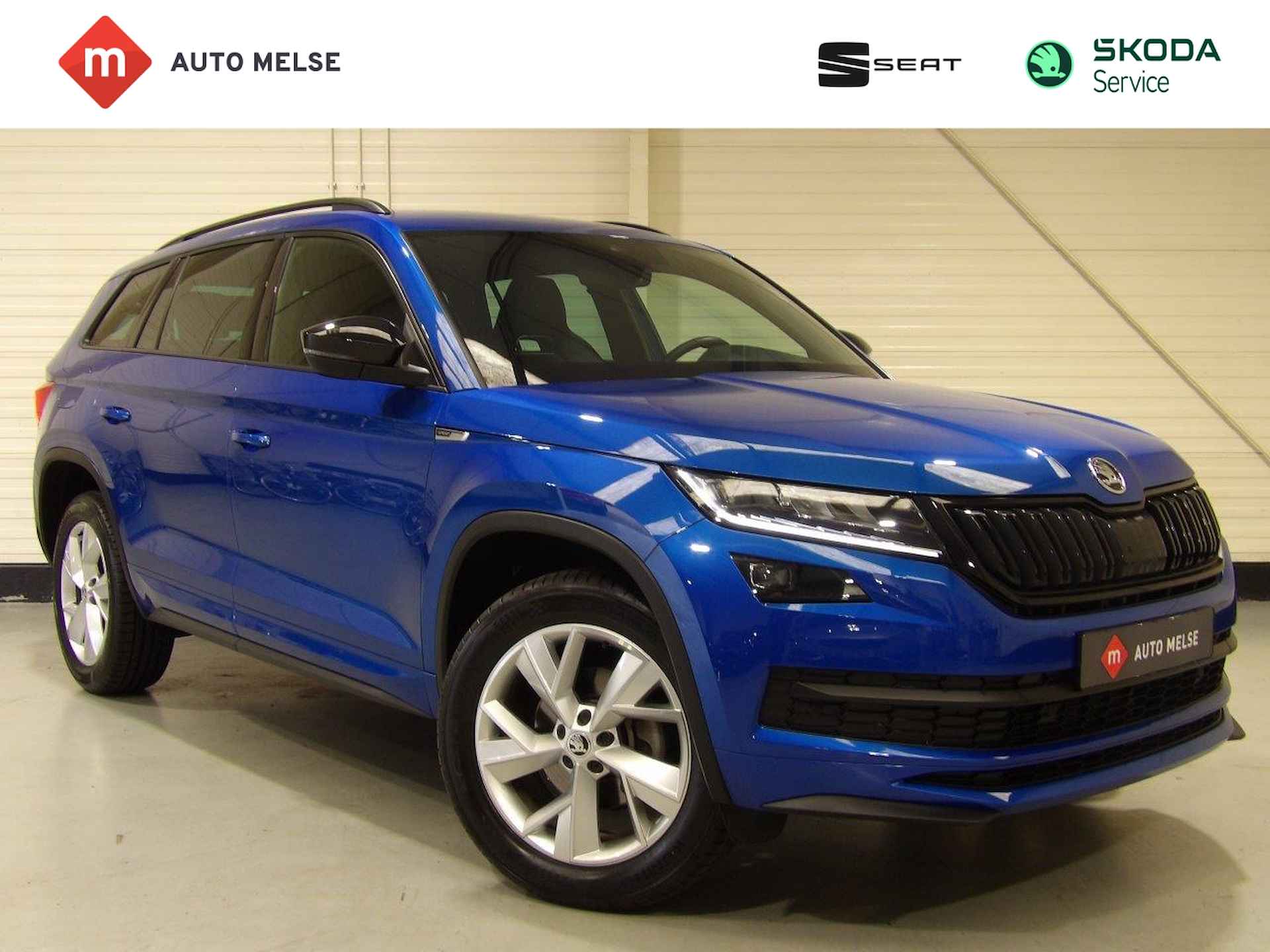 Škoda Kodiaq BOVAG 40-Puntencheck