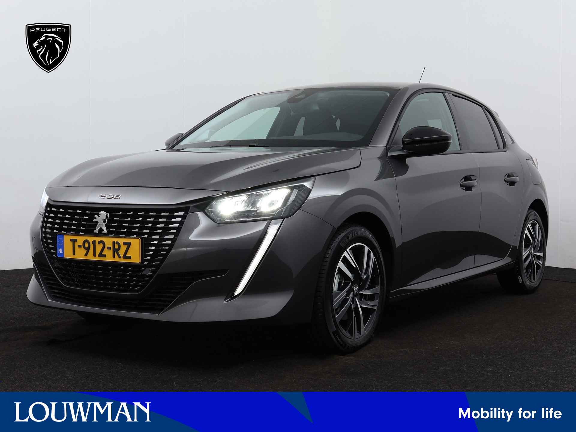 Peugeot 208 BOVAG 40-Puntencheck