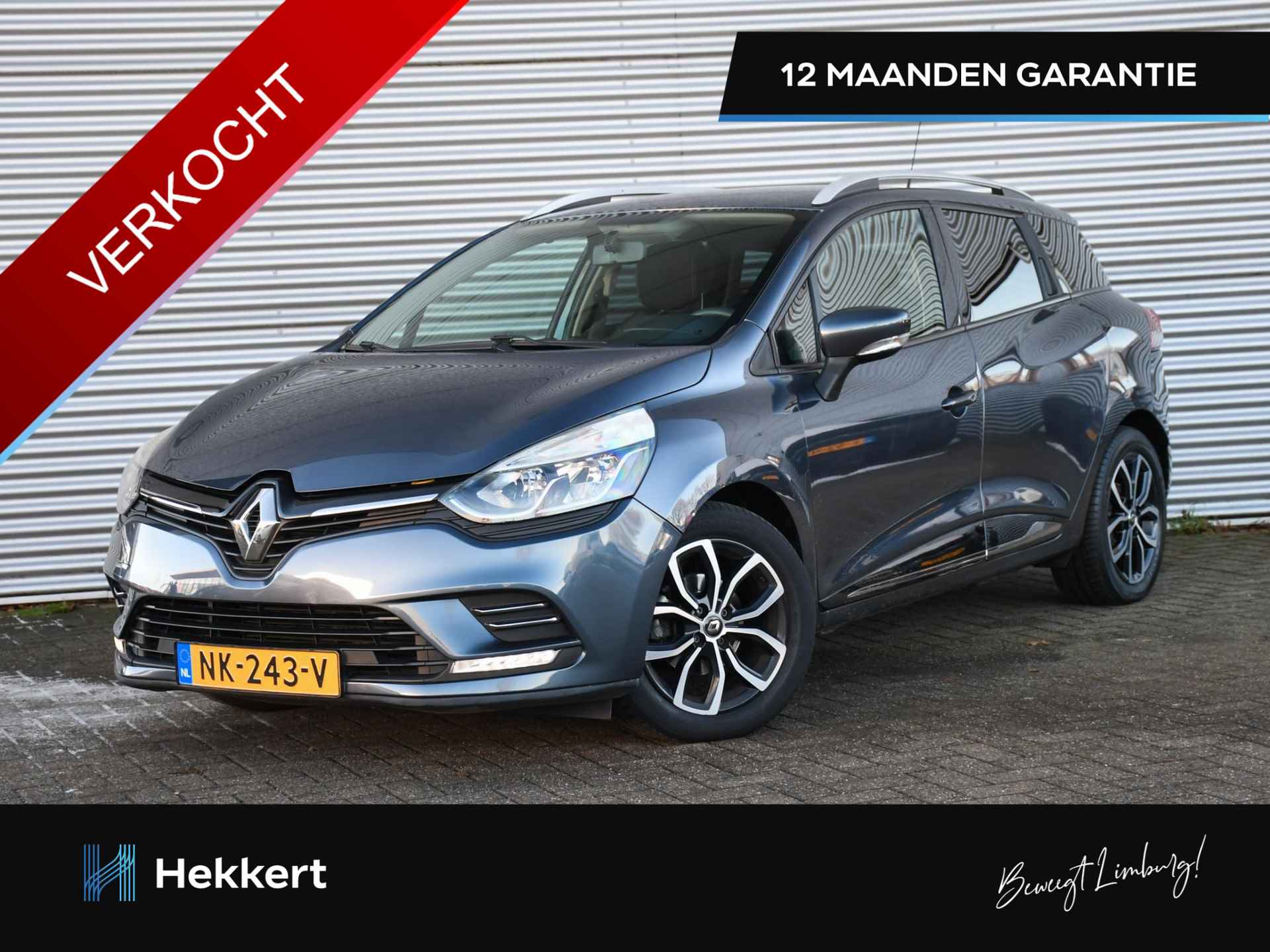 Renault Clio BOVAG 40-Puntencheck