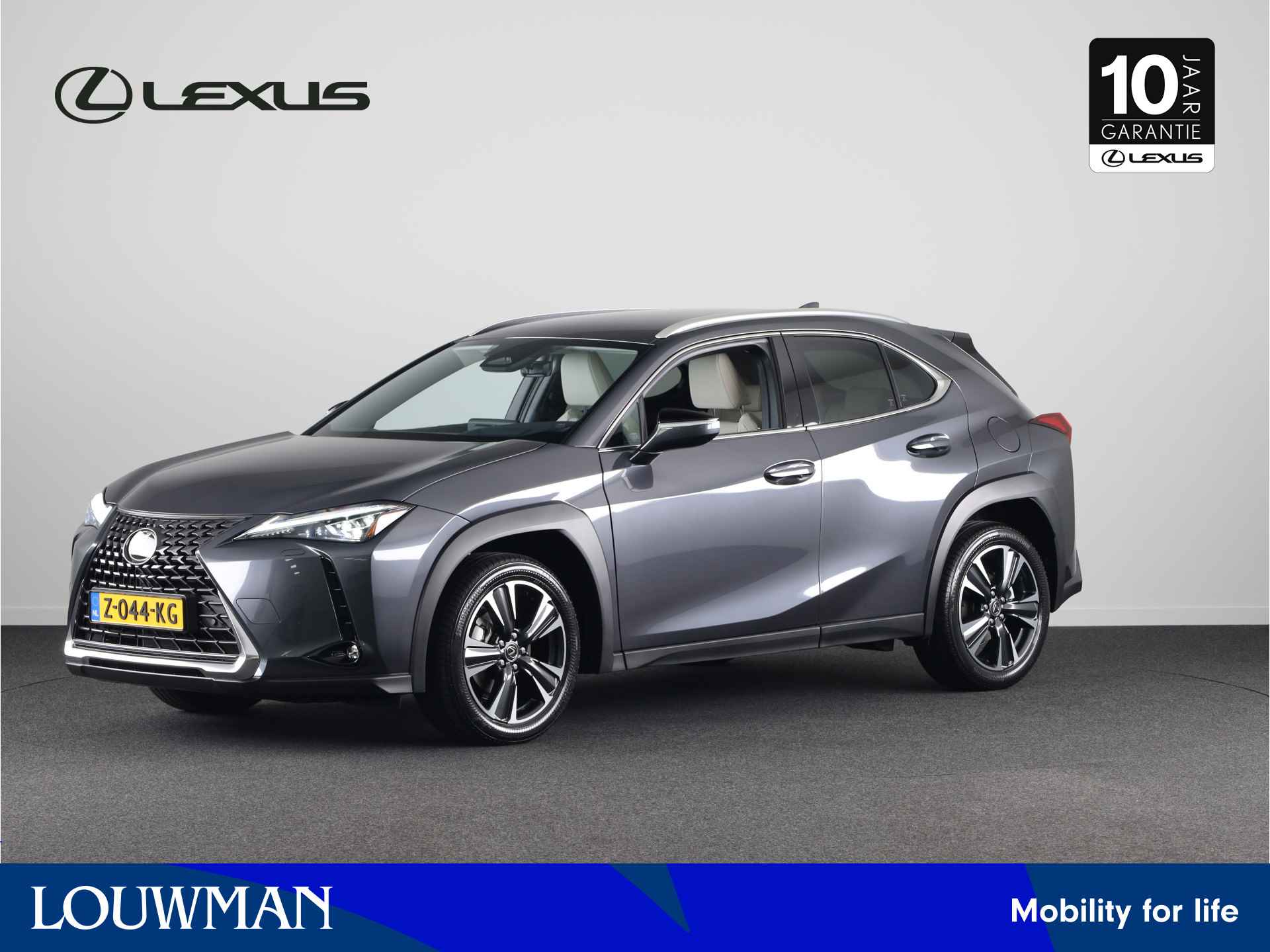 Lexus UX BOVAG 40-Puntencheck