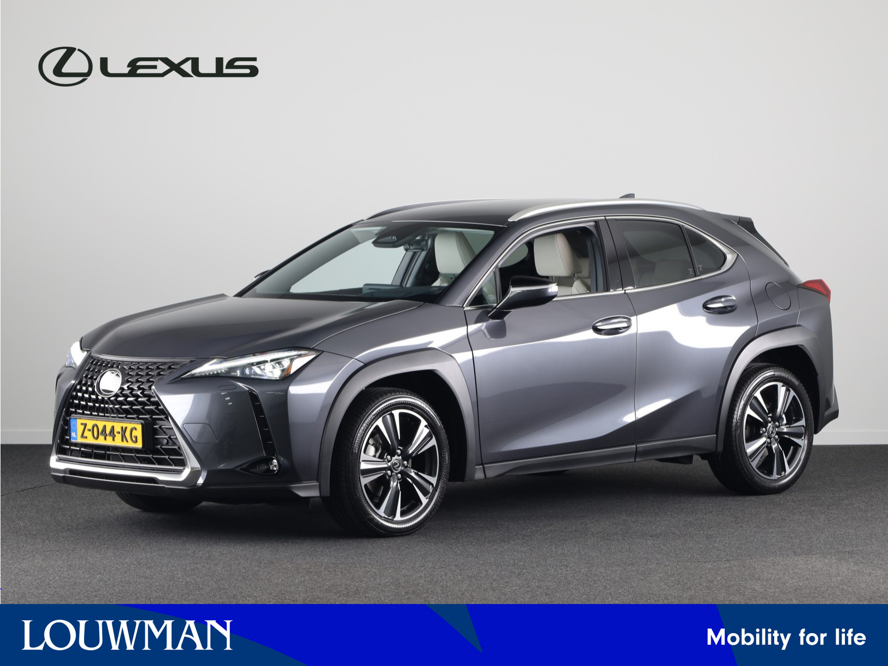 Lexus UX 300h Luxury Line *DEMO* | Nieuwste model | Premium Pack |