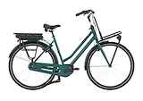 GAZELLE HeavyDutyNL C7+ Dames Thyme Green Glans 49cm 2024