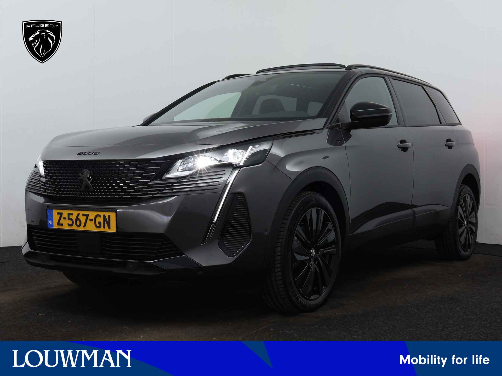 Peugeot 5008 BOVAG 40-Puntencheck