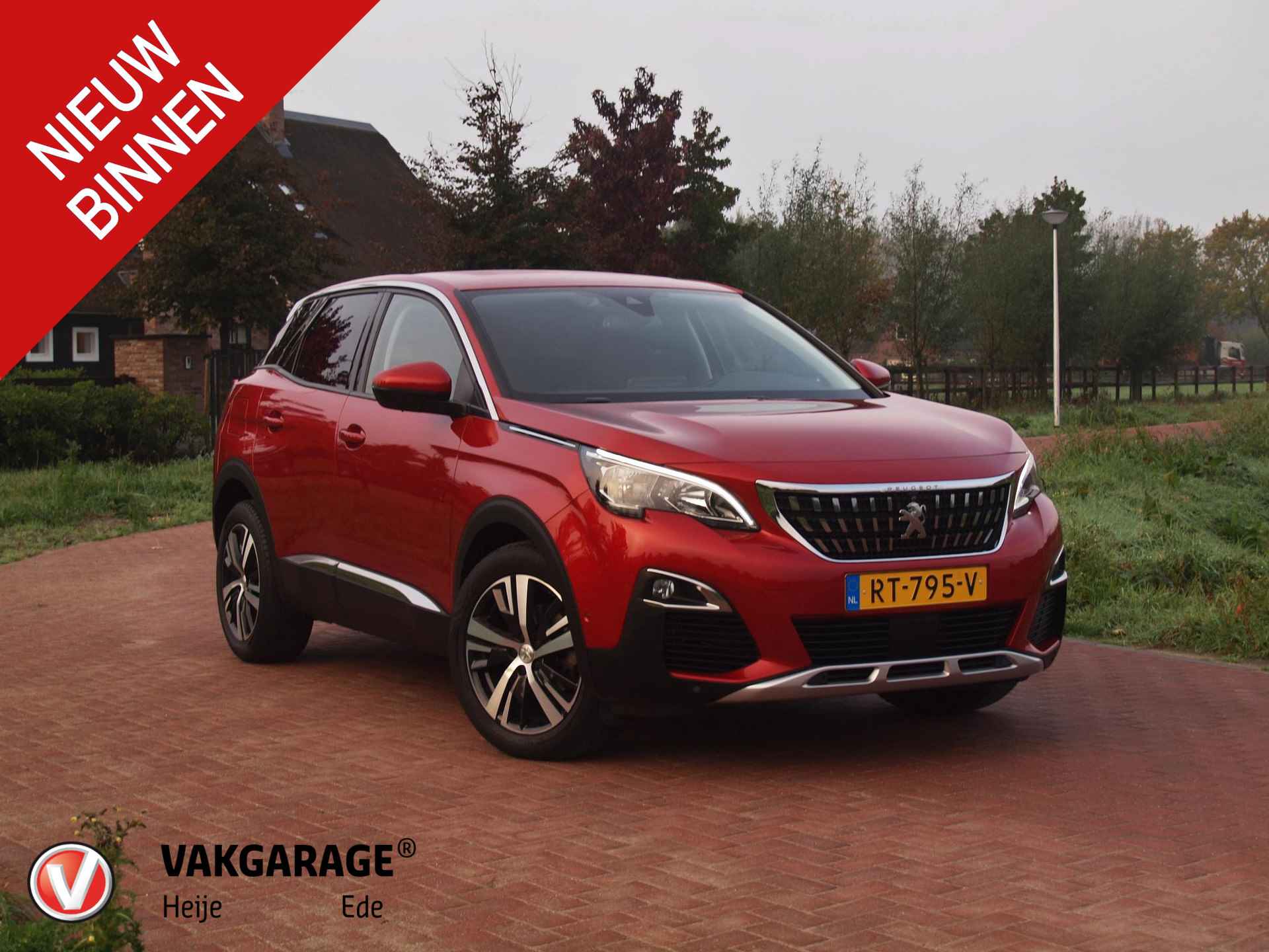 Peugeot 3008 BOVAG 40-Puntencheck