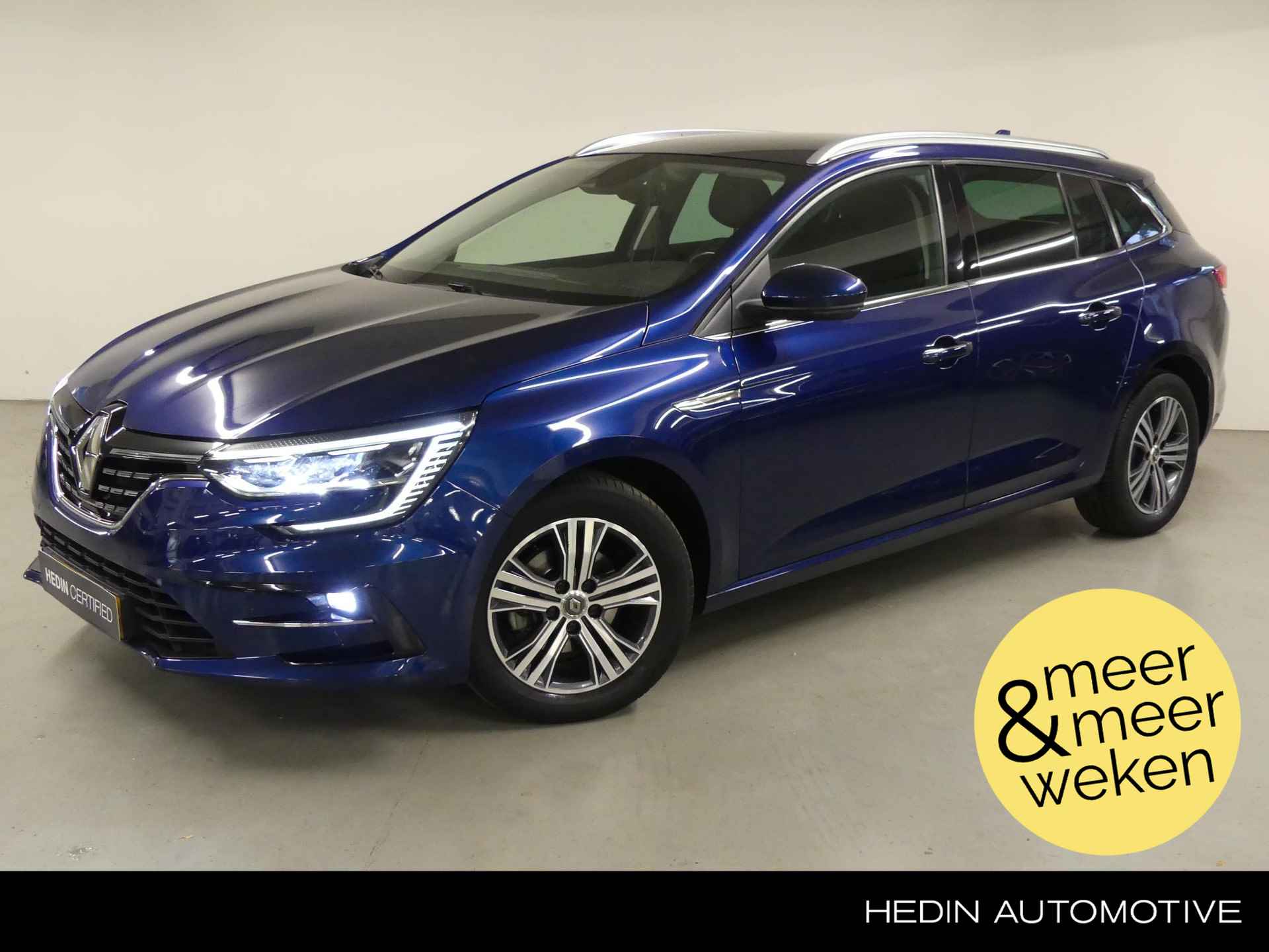 Renault Megane BOVAG 40-Puntencheck