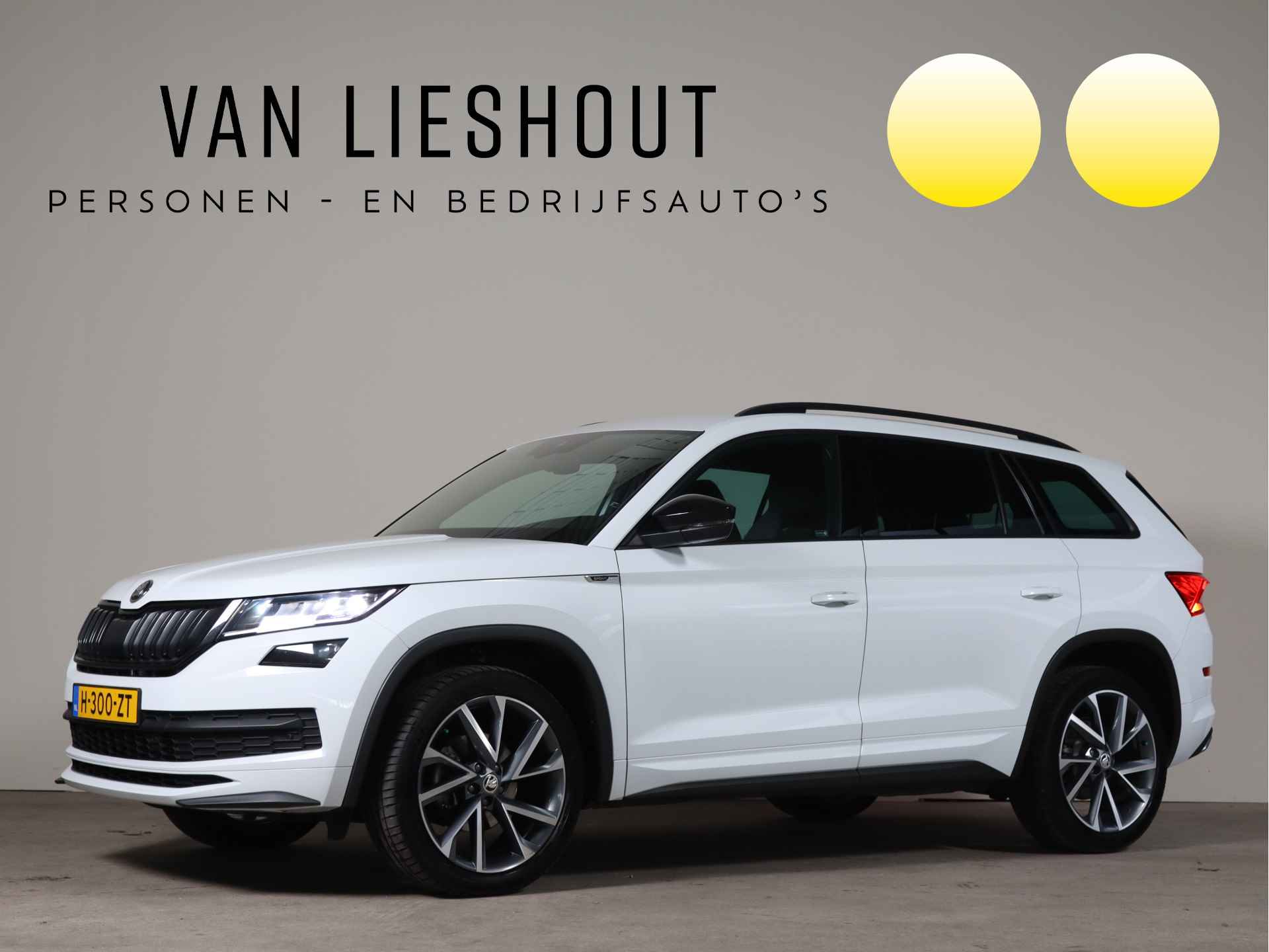 Škoda Kodiaq BOVAG 40-Puntencheck