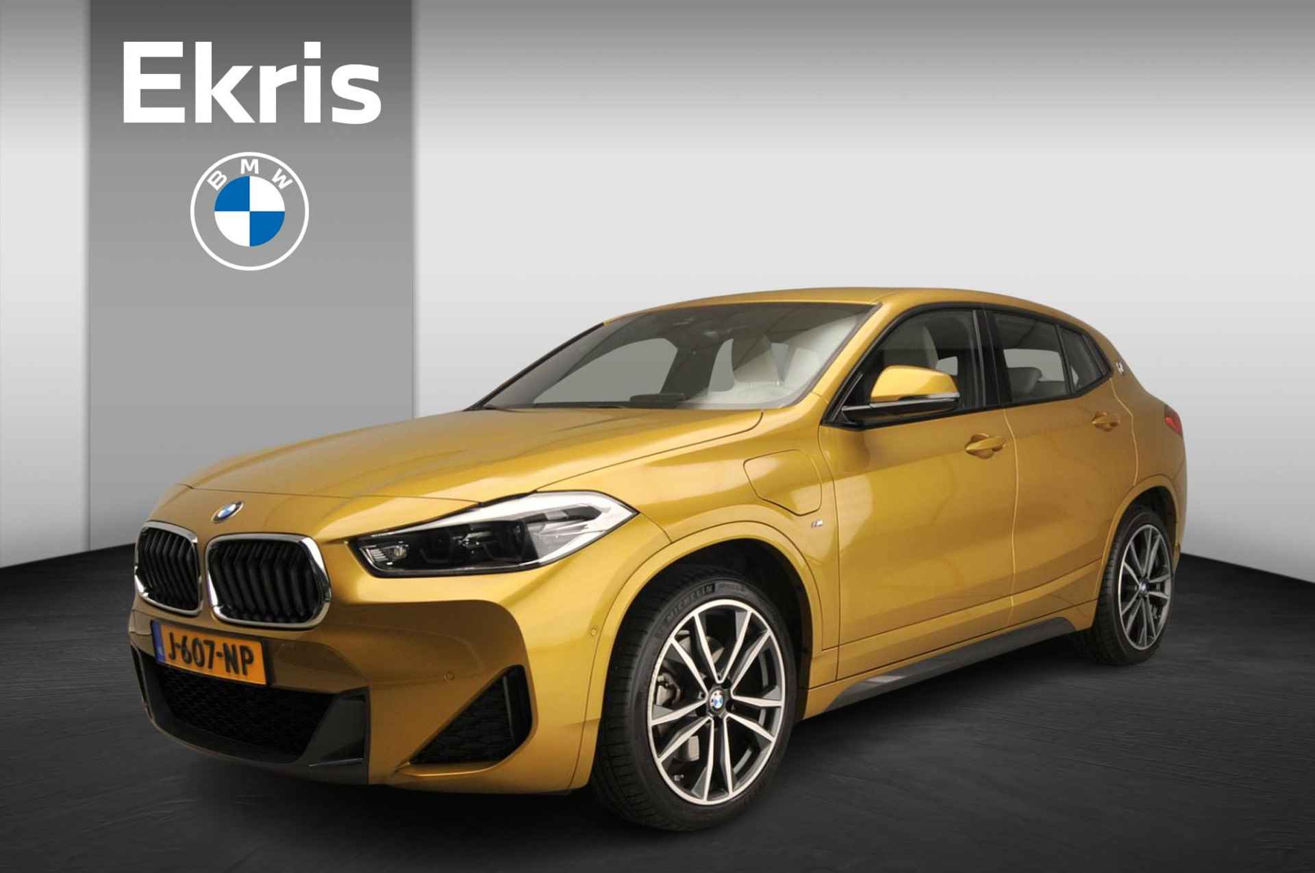 BMW X2 BOVAG 40-Puntencheck