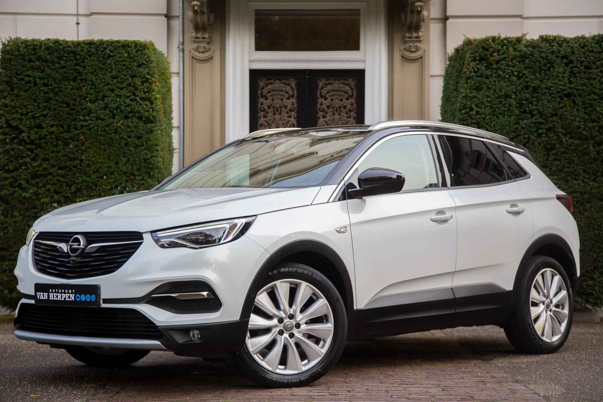 Opel Grandland X BOVAG 40-Puntencheck