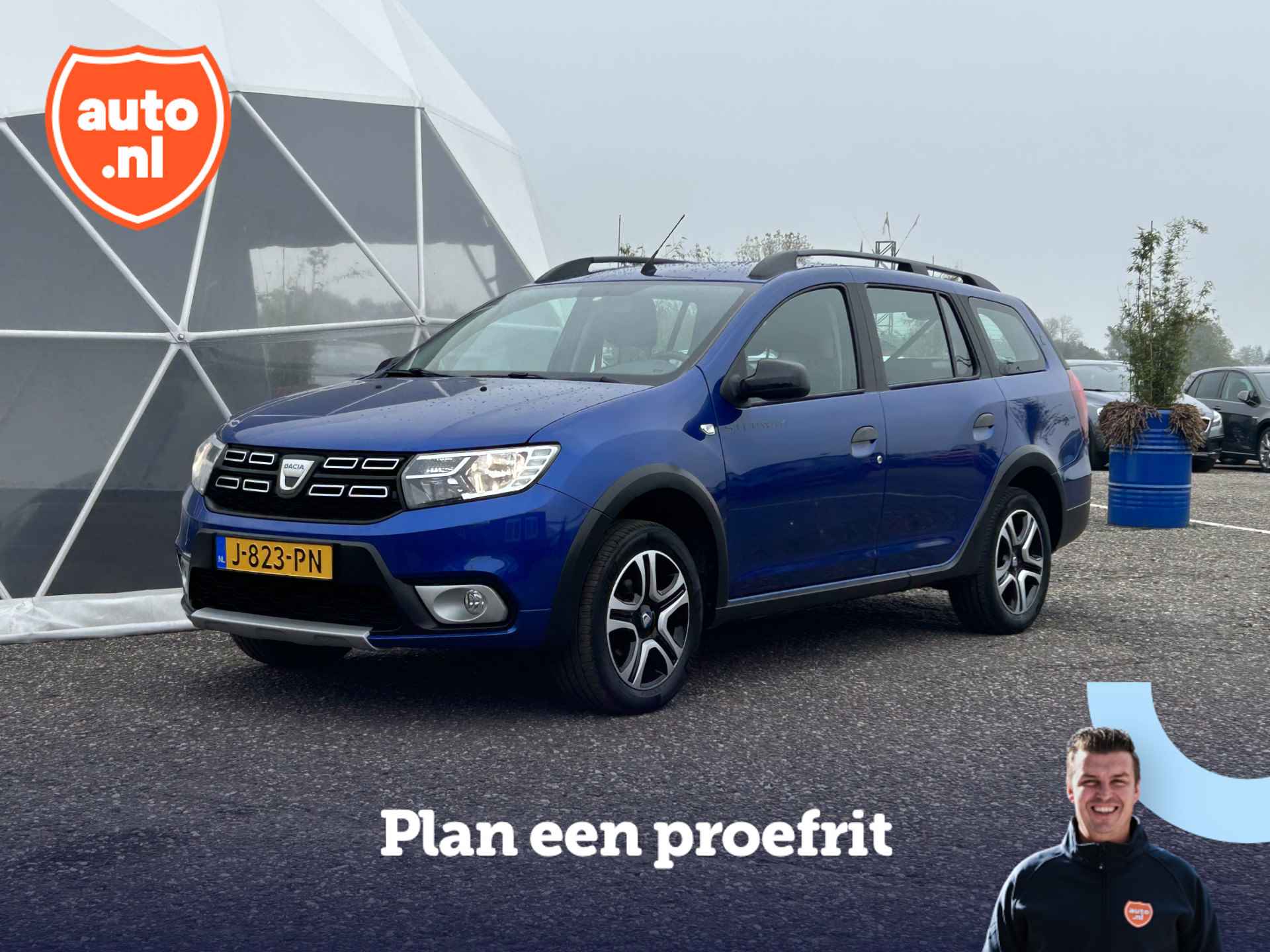 Dacia Logan BOVAG 40-Puntencheck