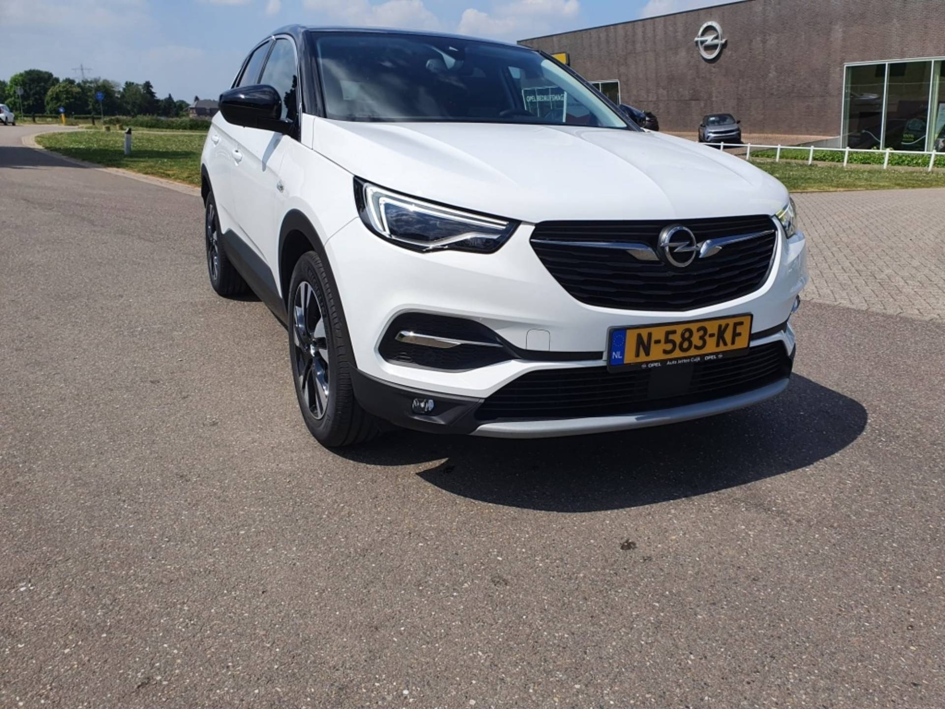 Opel Grandland X Business Executive *RIJKLAAR* - 8/30