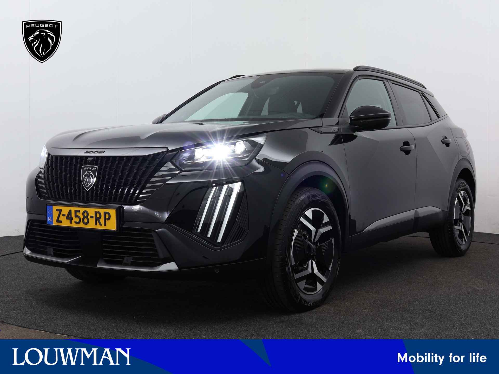 Peugeot 2008 BOVAG 40-Puntencheck