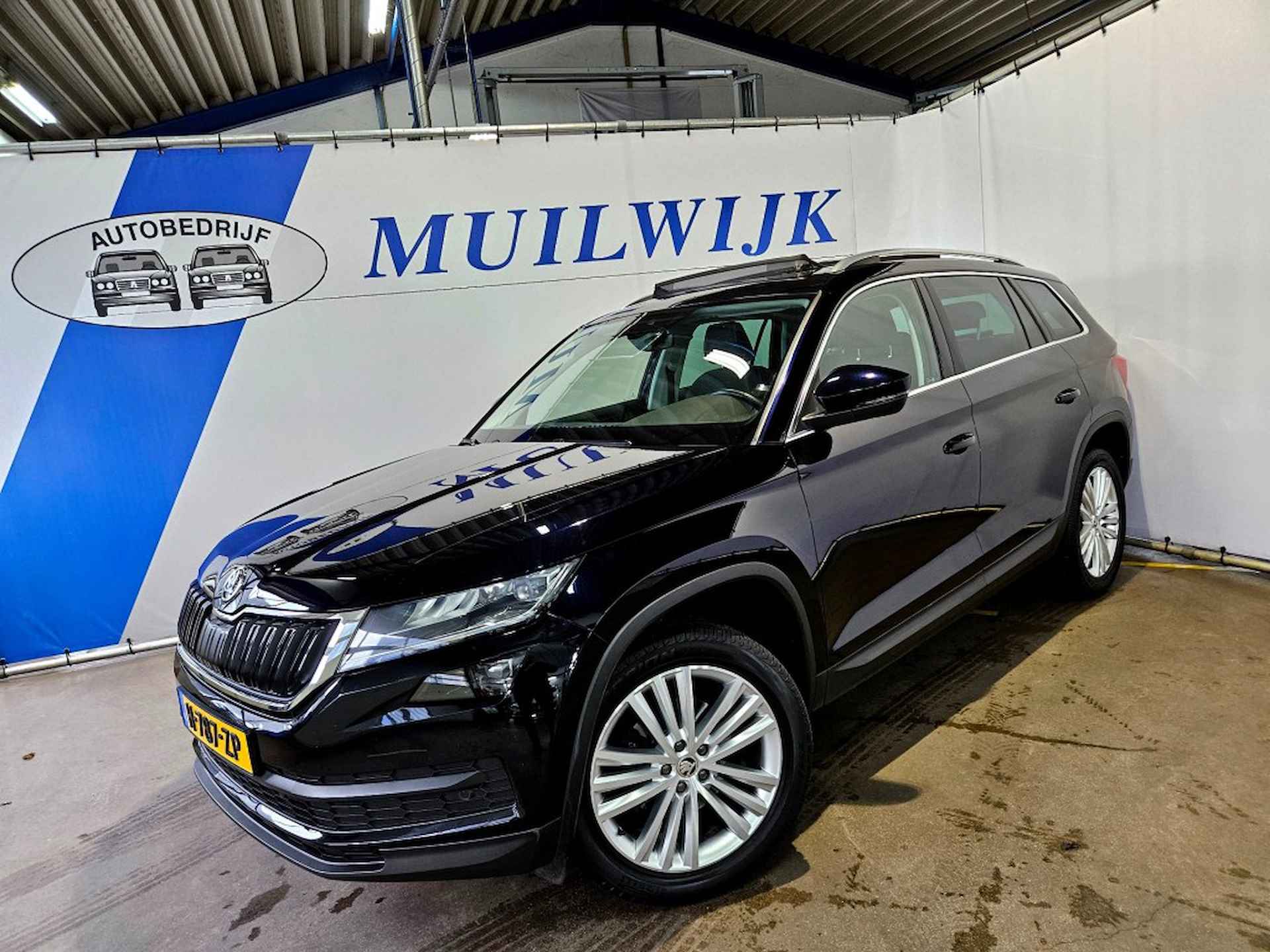 Škoda Kodiaq BOVAG 40-Puntencheck