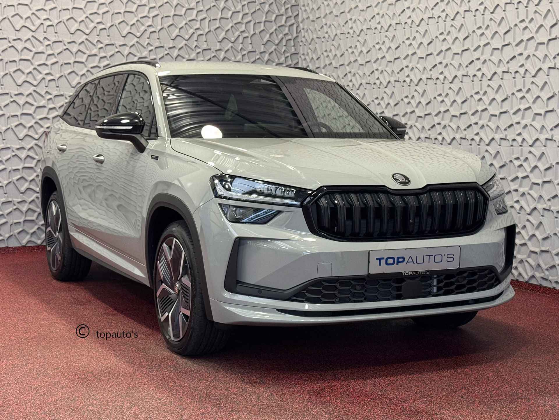 Škoda Kodiaq BOVAG 40-Puntencheck