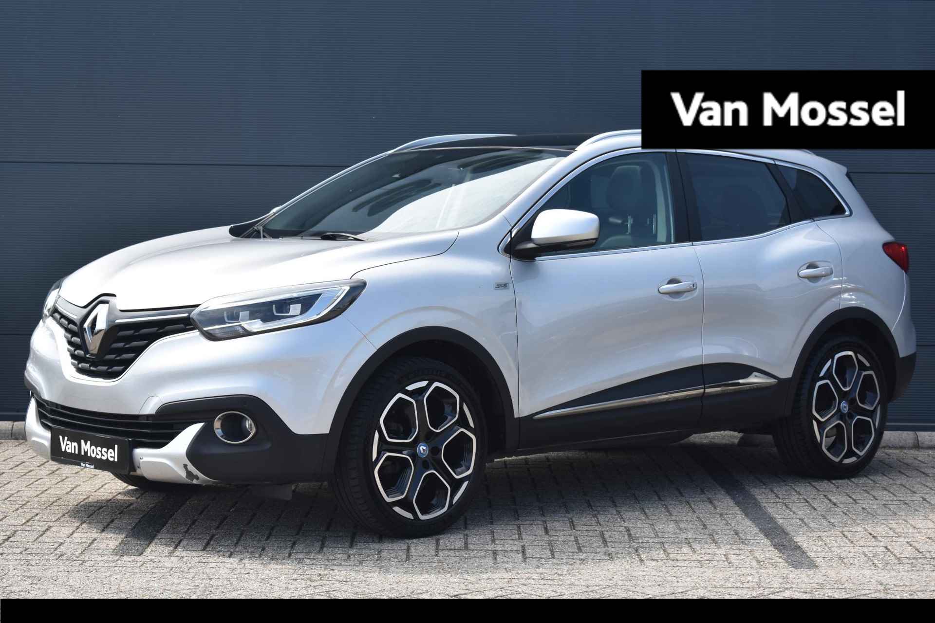 Renault Kadjar BOVAG 40-Puntencheck