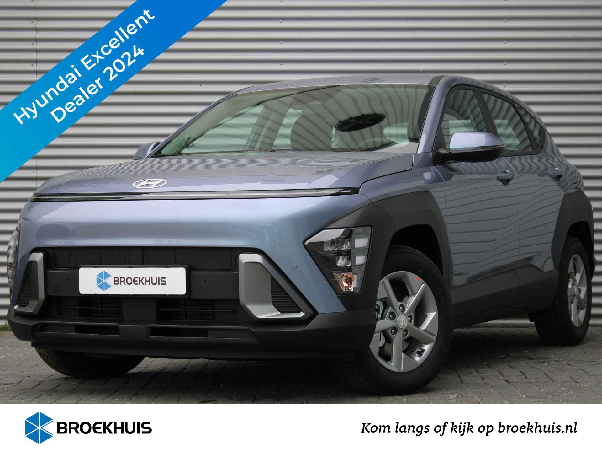 Hyundai Kona BOVAG 40-Puntencheck