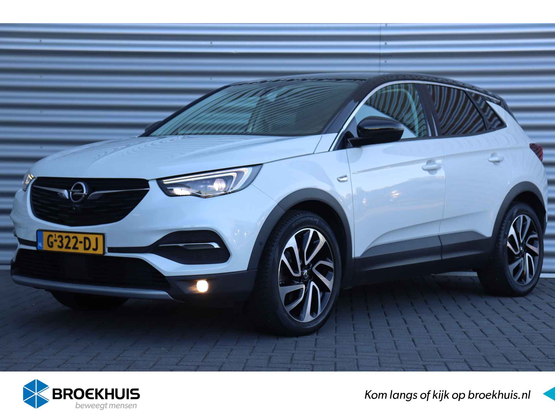 Opel Grandland X BOVAG 40-Puntencheck