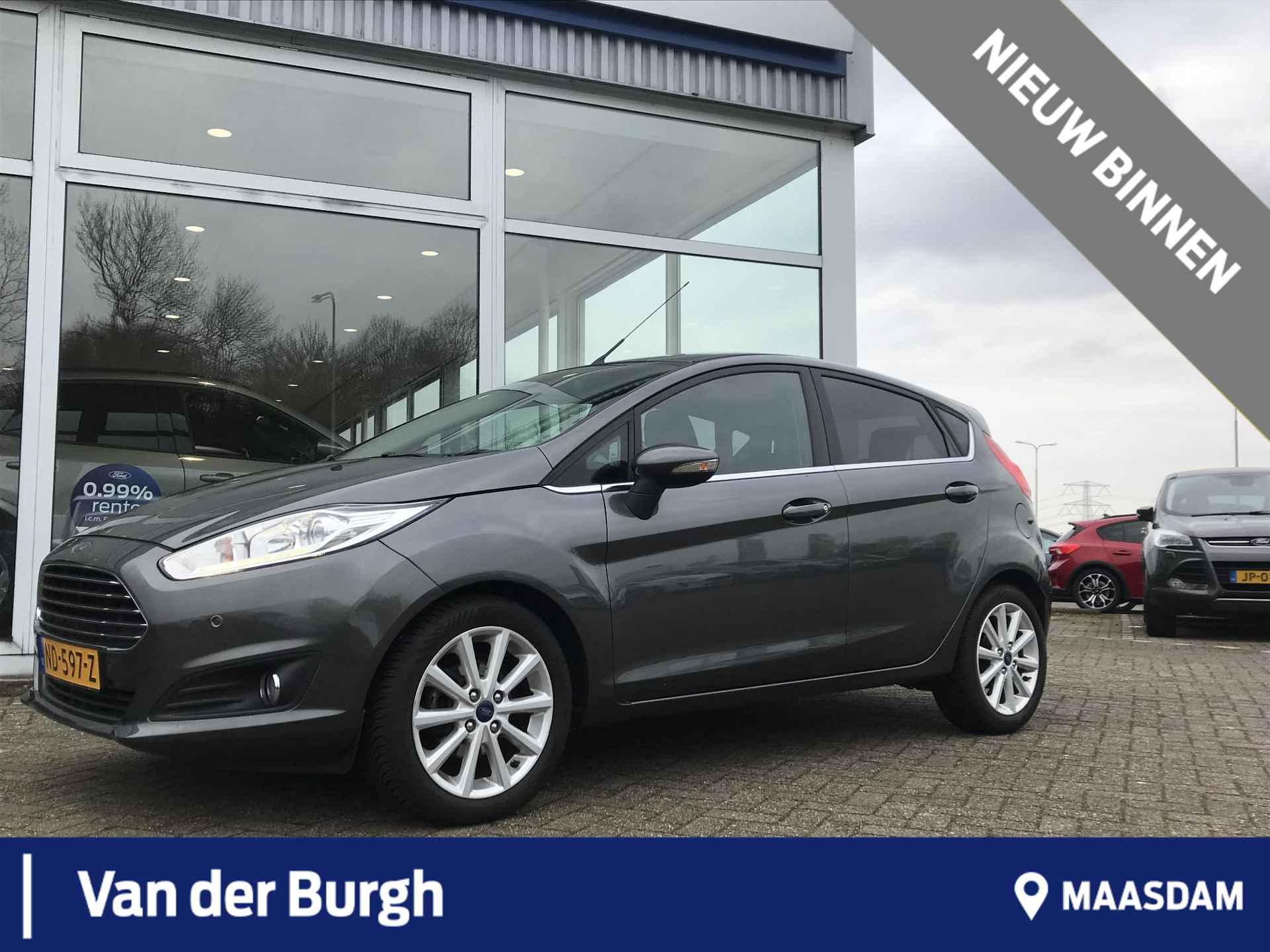 Ford Fiesta BOVAG 40-Puntencheck