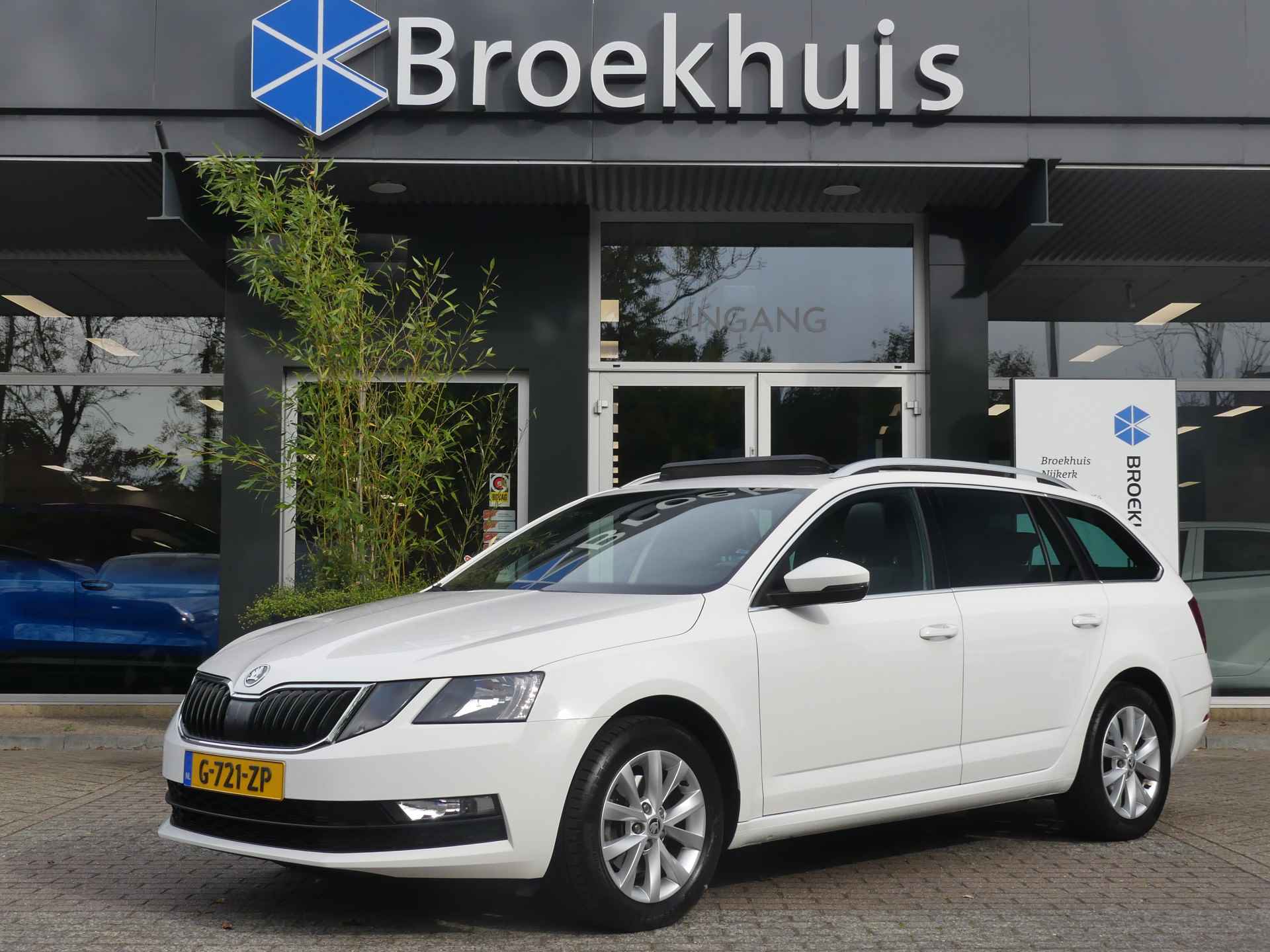 Škoda Octavia BOVAG 40-Puntencheck