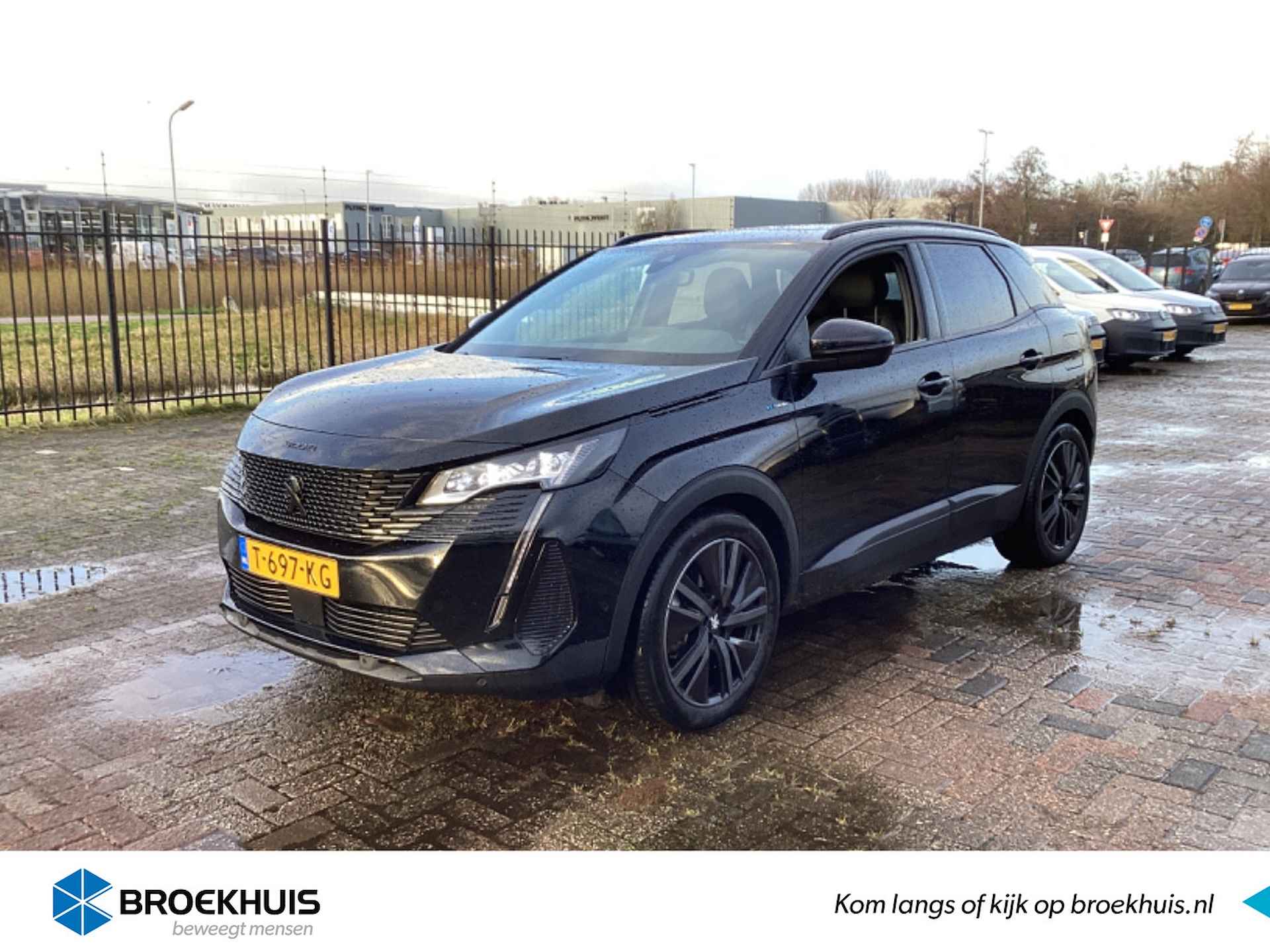 Peugeot 3008 BOVAG 40-Puntencheck