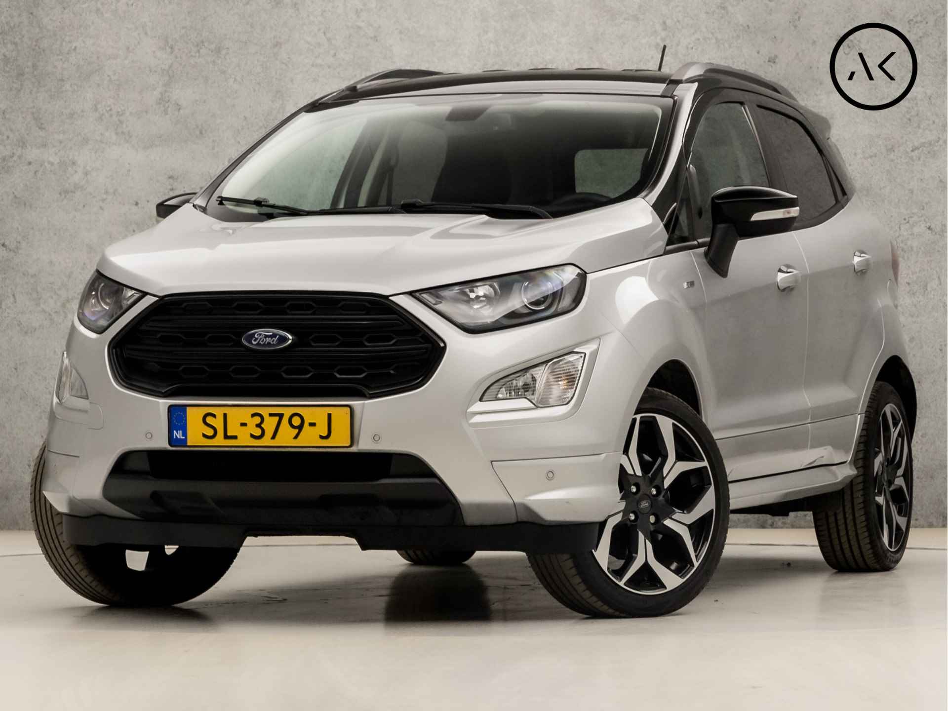 Ford EcoSport BOVAG 40-Puntencheck