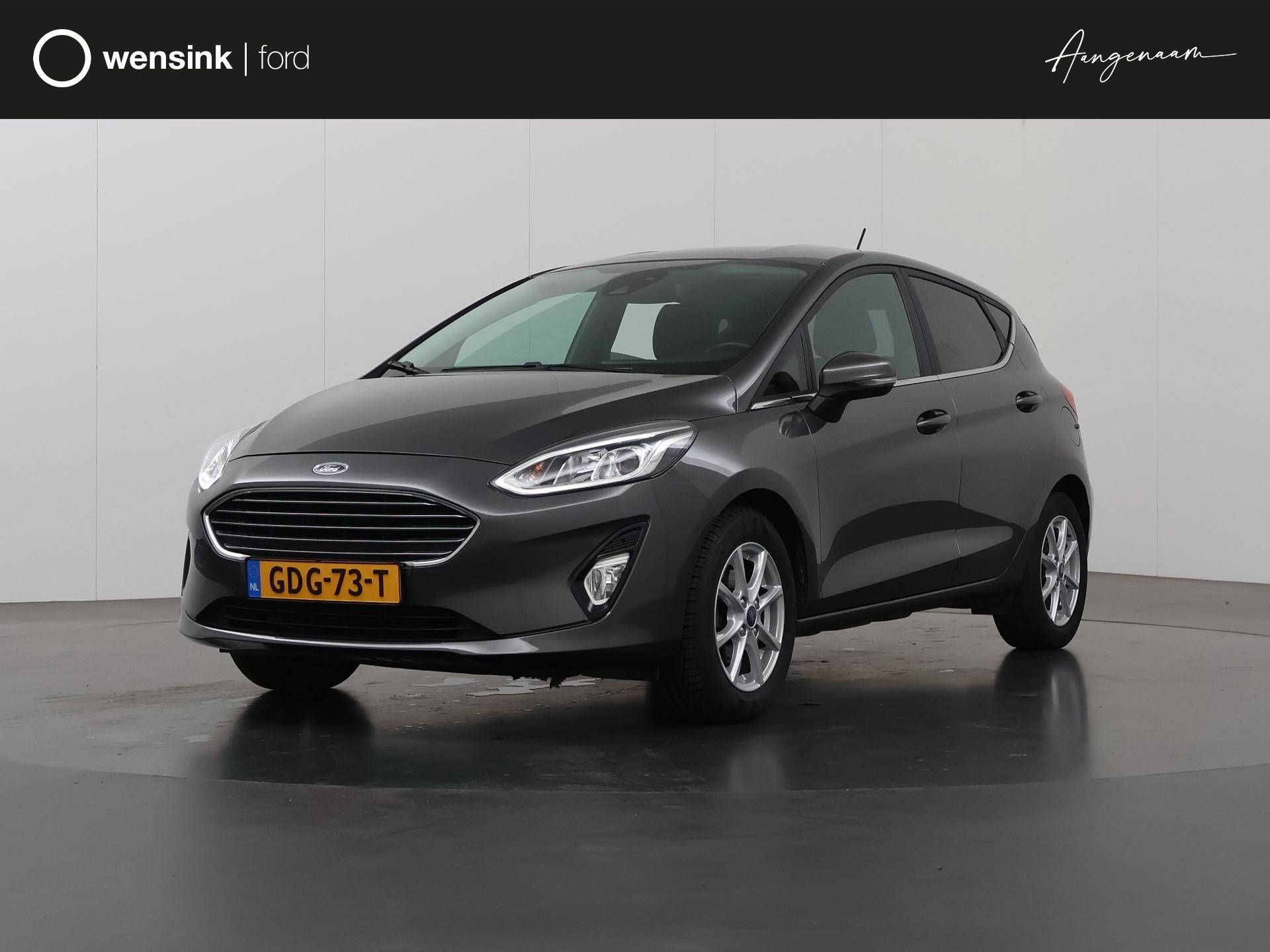 Ford Fiesta 1.0 EcoBoost Titanium | Winterpack | Parkeersensoren | LED koplampen | Apple CarPlay |