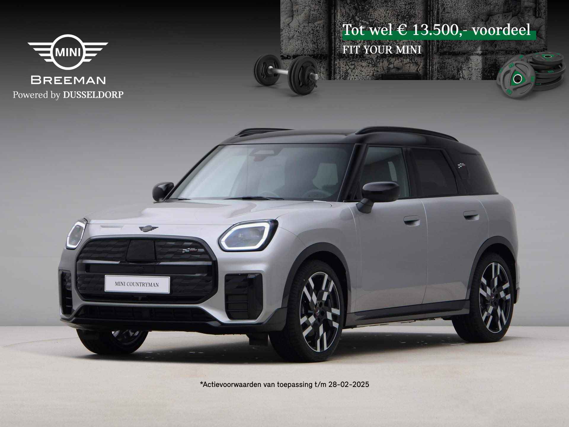 Mini Countryman