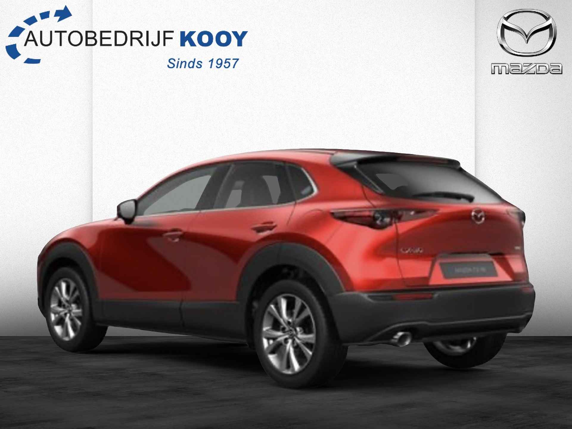 Mazda CX-30 2.0 eSkyActiv-X Takumi AT - Sunroof - 8/20