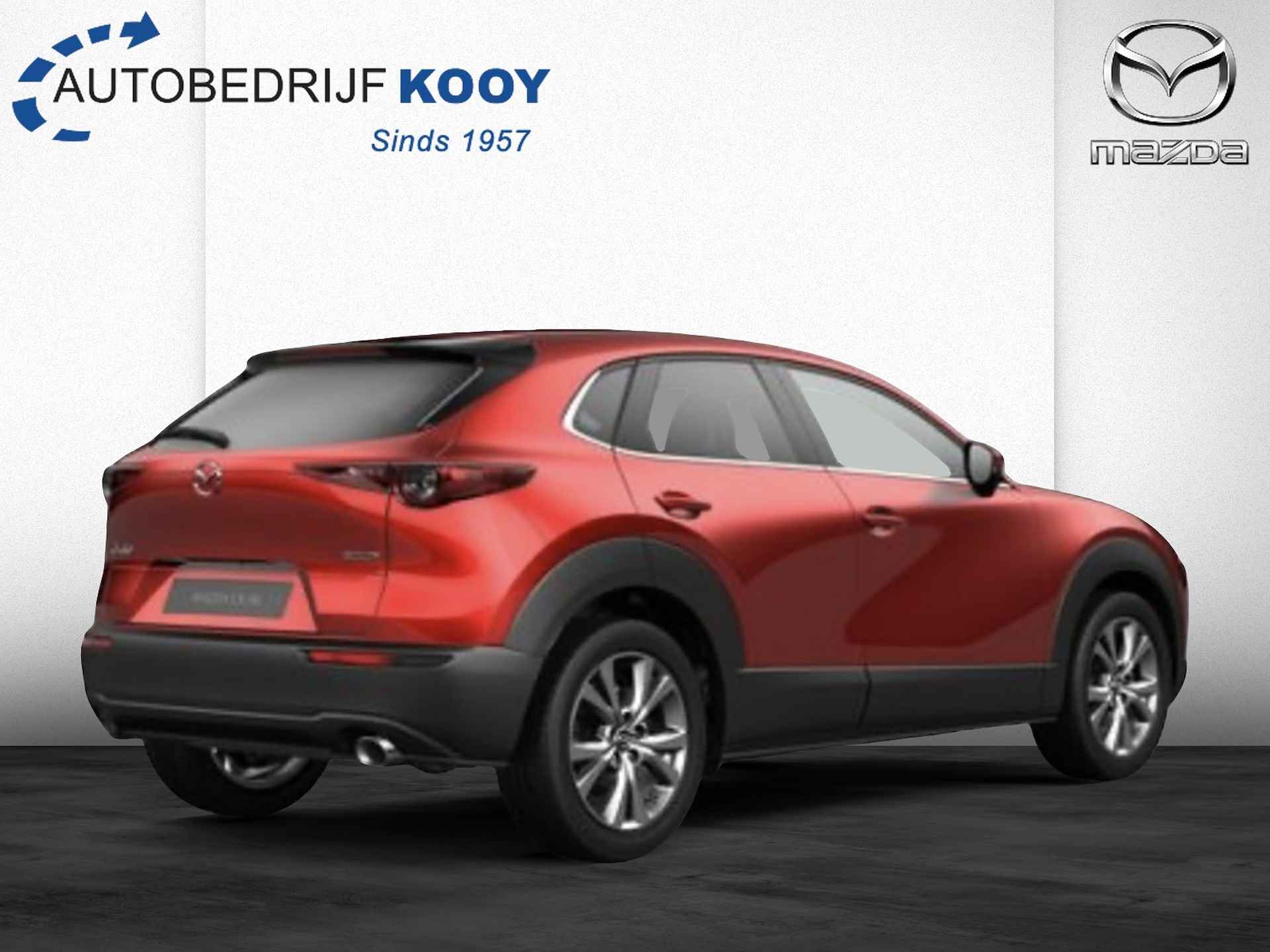 Mazda CX-30 2.0 eSkyActiv-X Takumi AT - Sunroof - 9/20